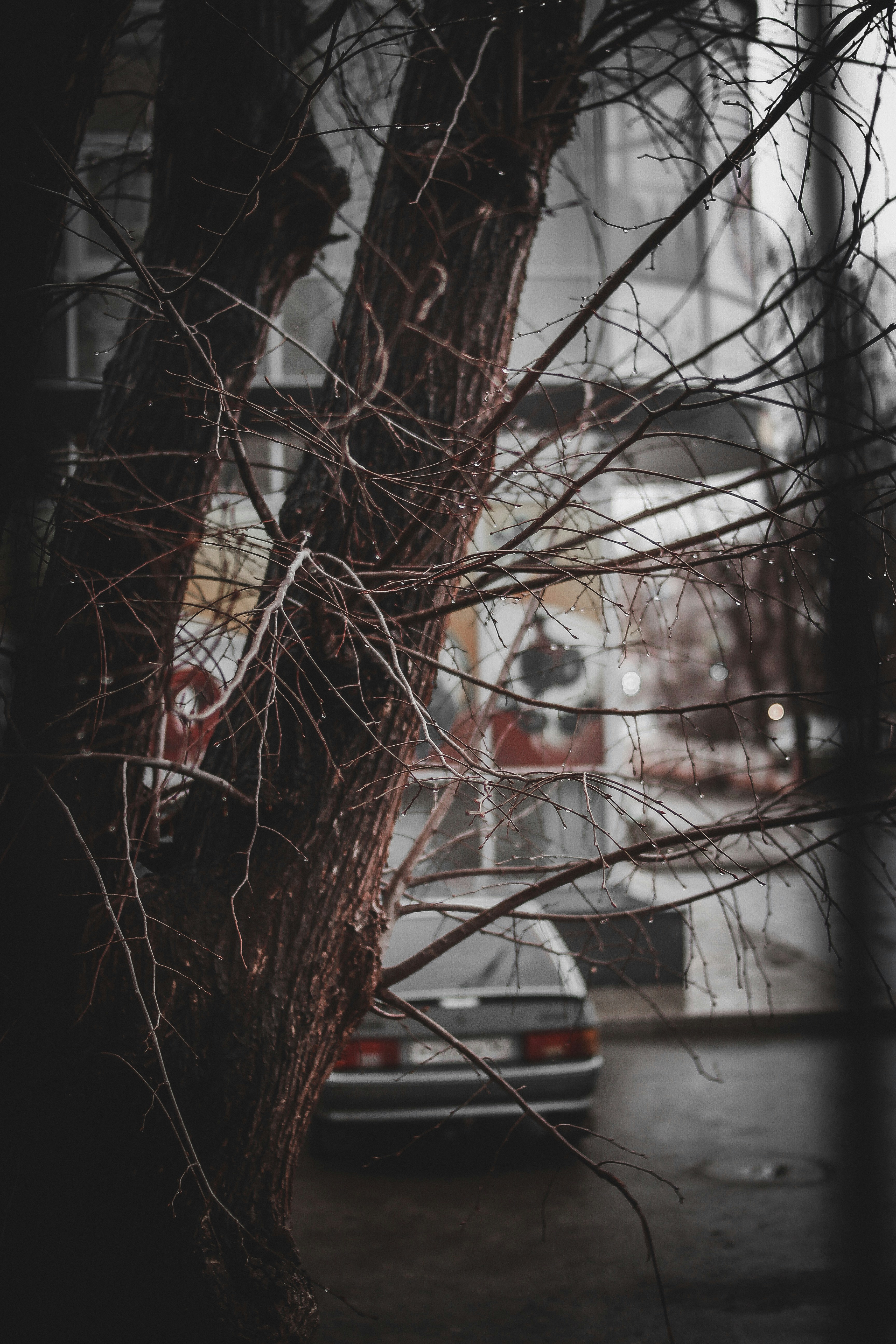 Photo by detroit1553