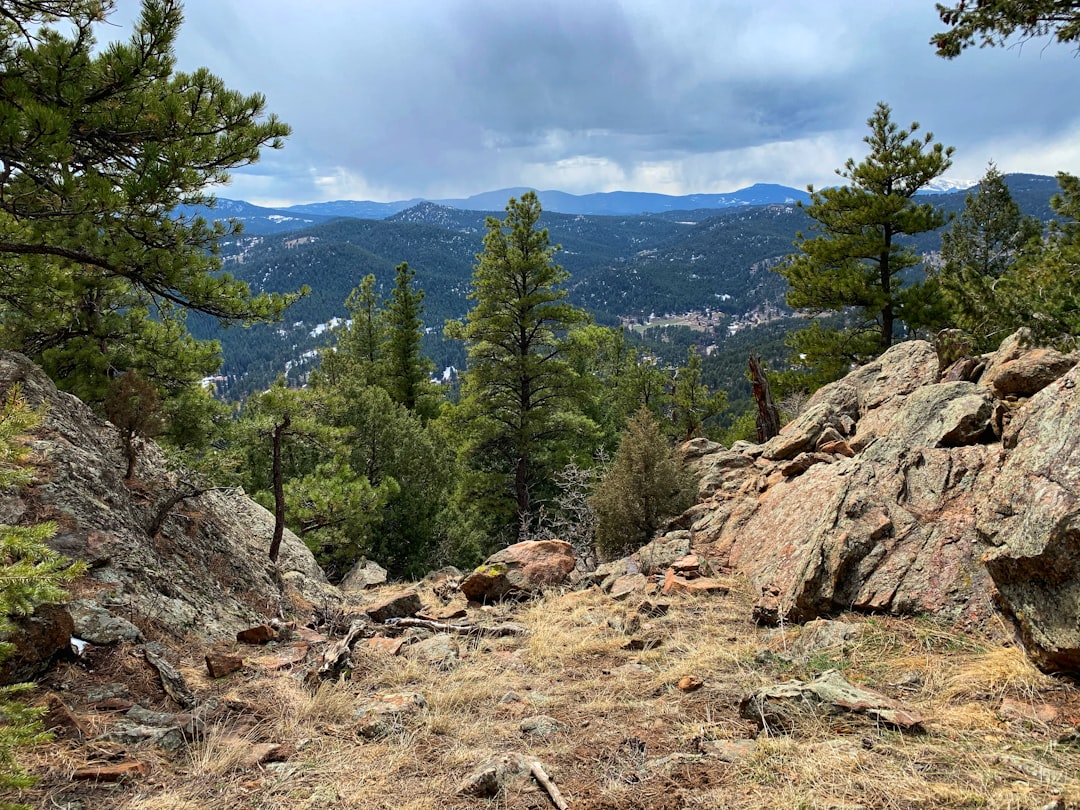 Tropical and subtropical coniferous forests photo spot Mount Falcon Park Boreas Pass