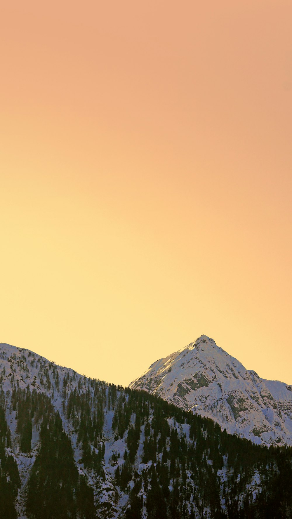 green trees on mountain under white sky during daytime