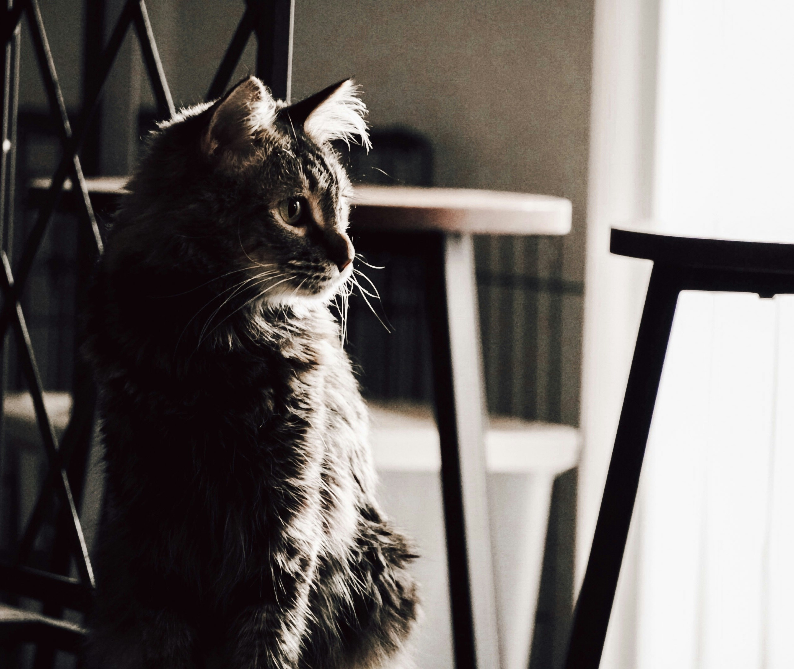 Photo by thalia_s_ruiz