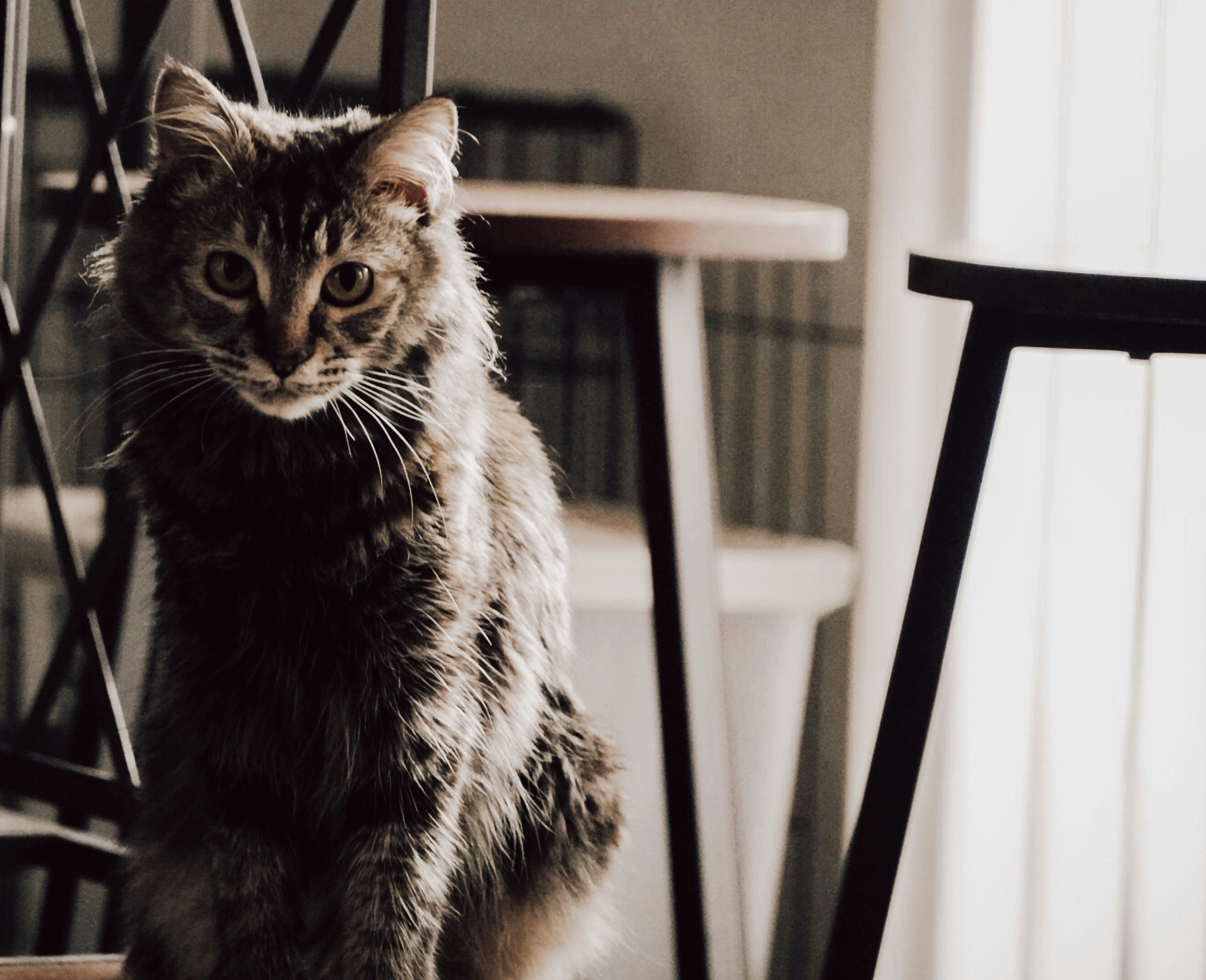 Photo by thalia_s_ruiz