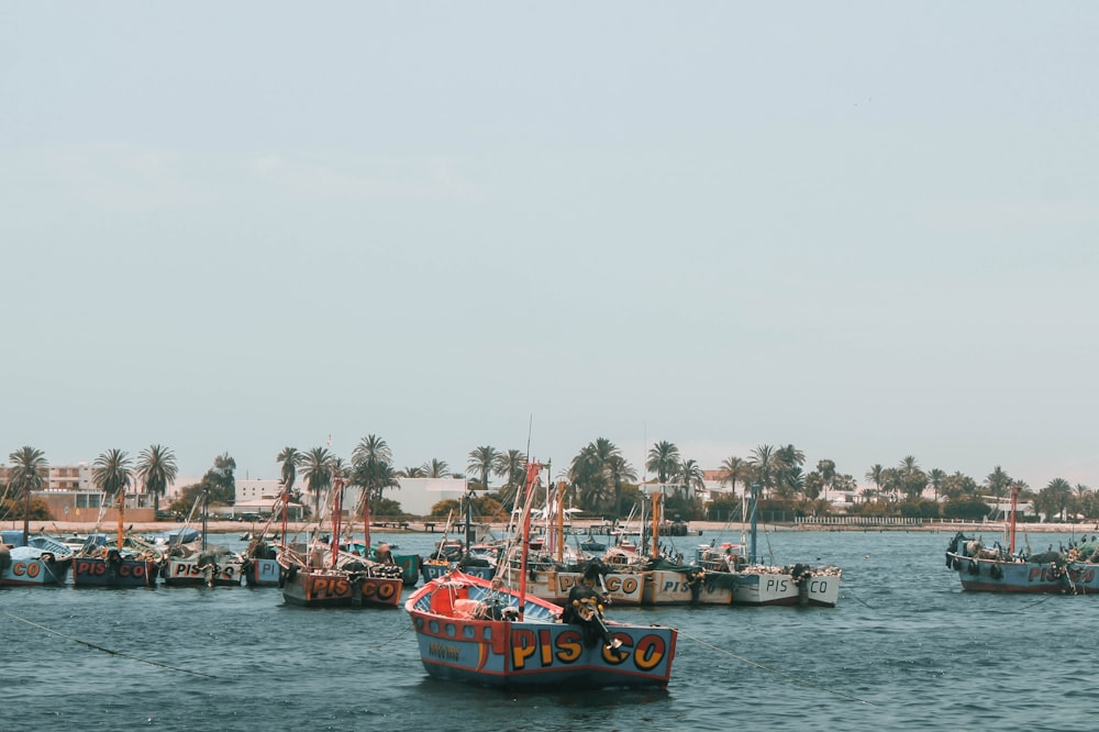 blue and red boat on water during daytime