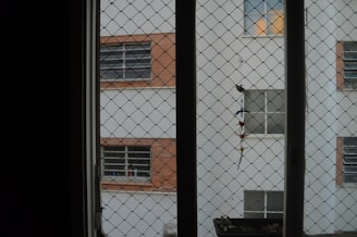 brown concrete building during daytime