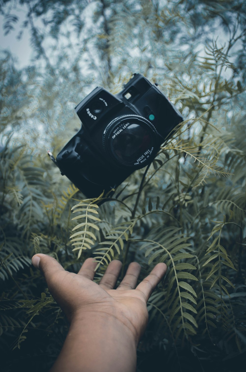 person holding black nikon dslr camera