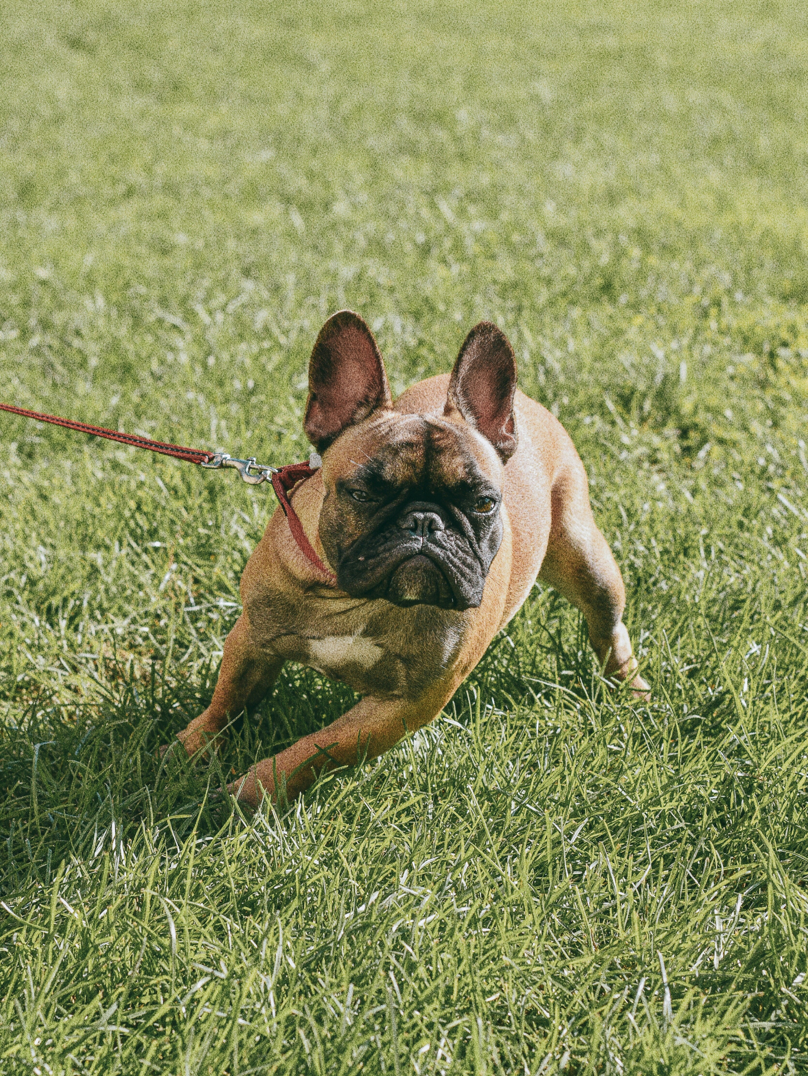 Photo by buco_balkanessi