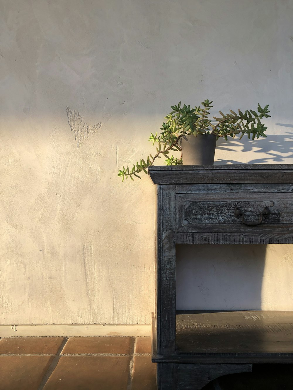 green plant on black wooden table