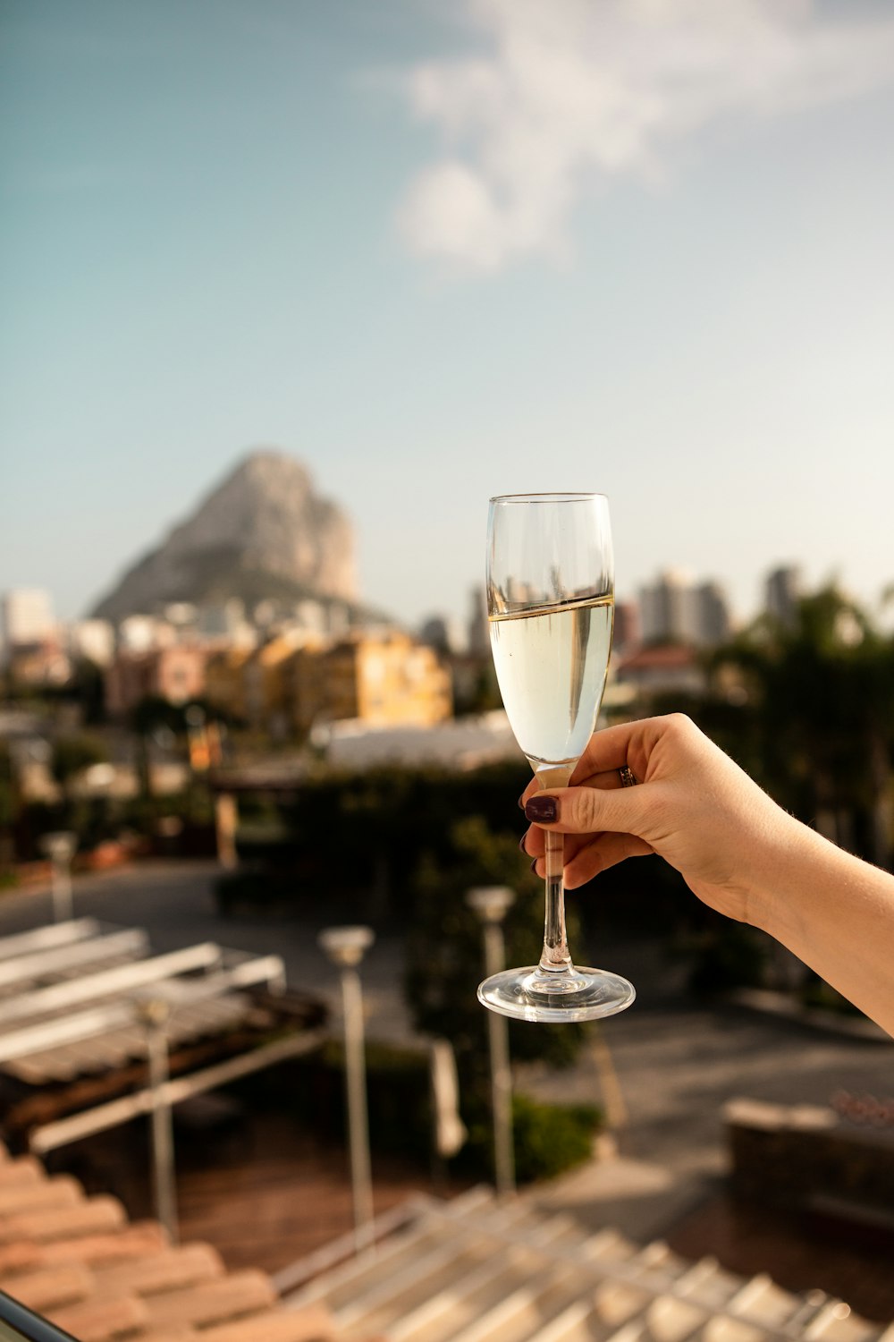 person holding clear wine glass during daytime