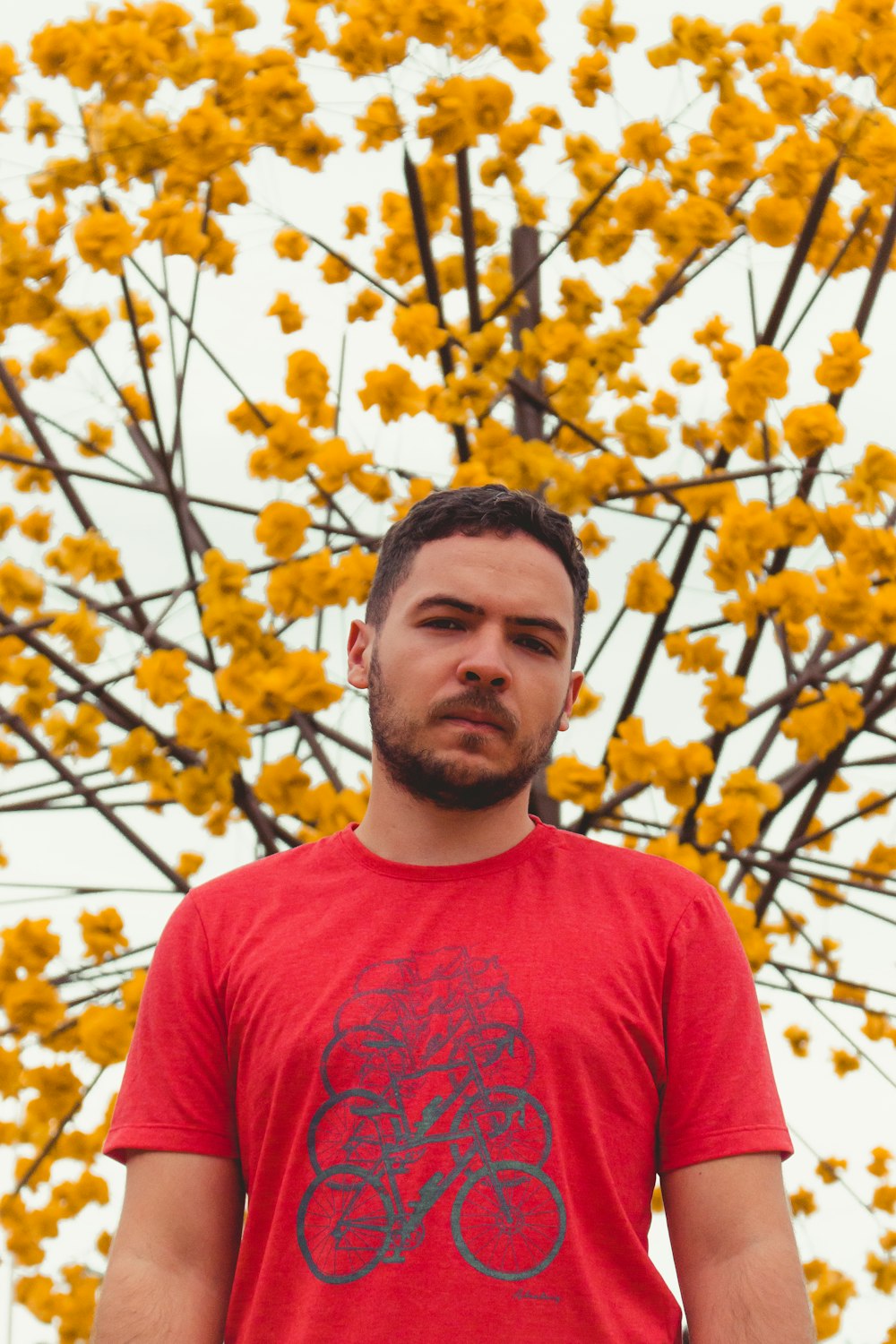 man in red crew neck shirt standing near yellow flowers