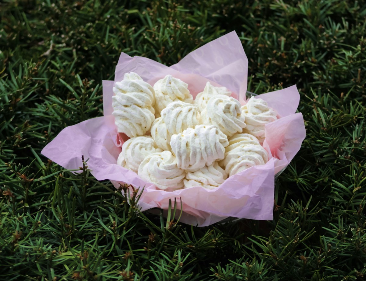 Why Do Meringue Cookies Have a Hollow Center and Chewy Middle?