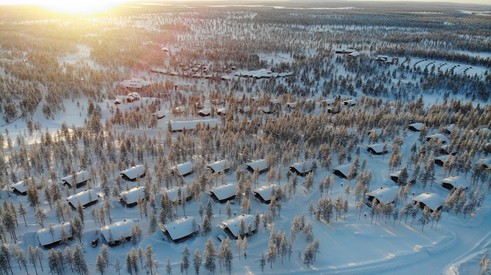 Maisons blanches et noires sur un sol enneigé pendant la journée