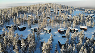 snow covered trees and houses during daytime