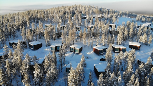 snow covered trees and houses during daytime