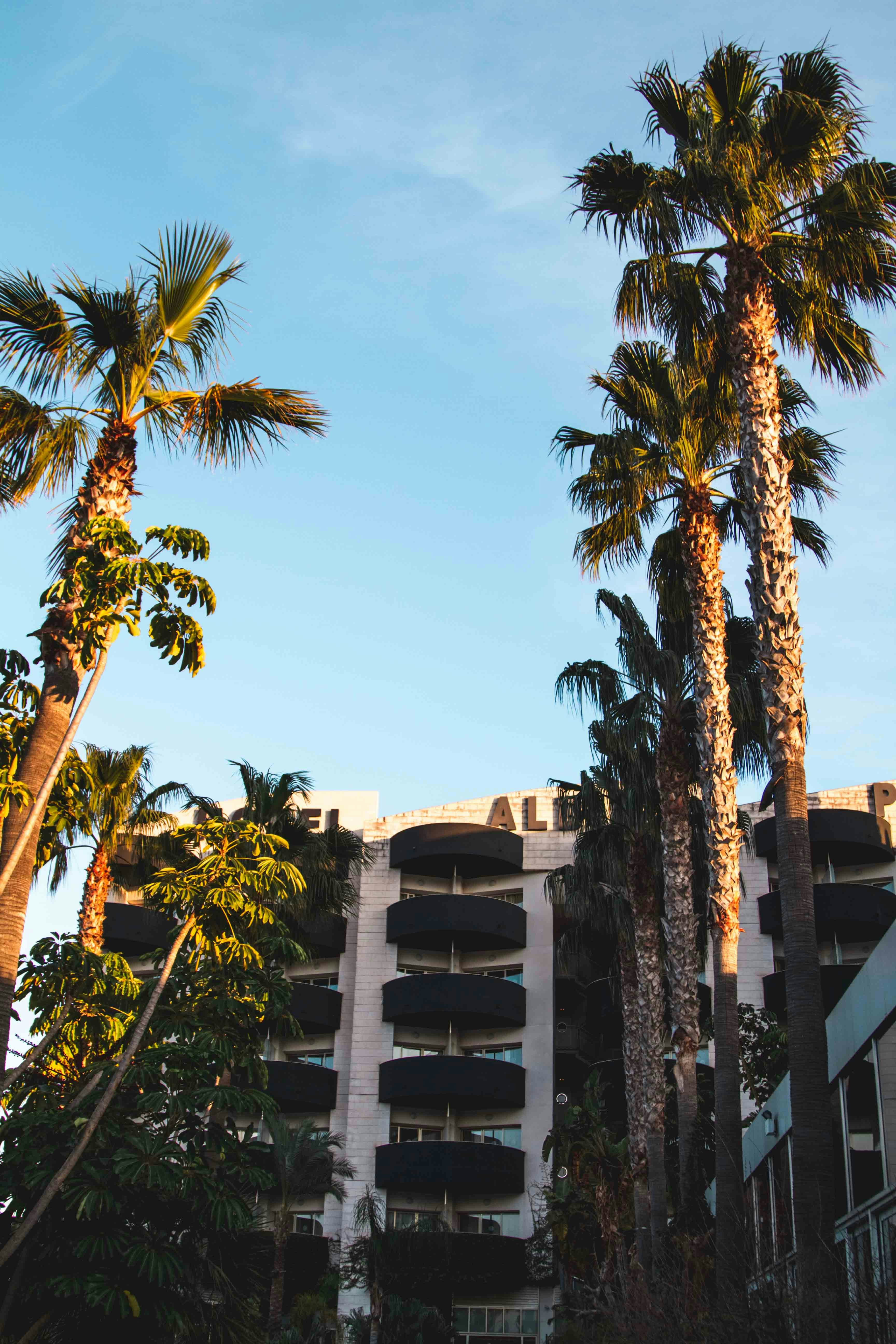 Photo by ingridmartinussen