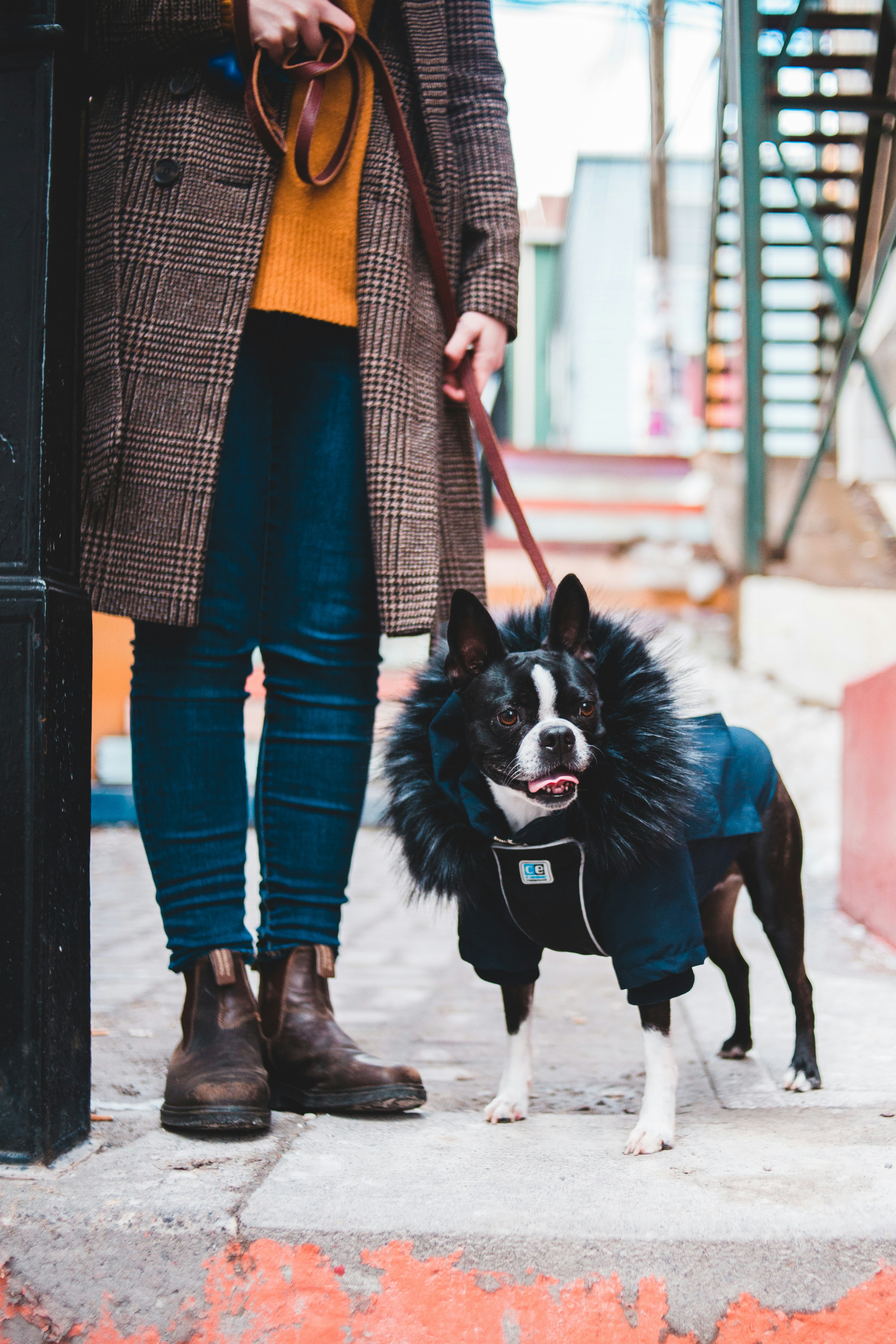 Photo by introspectivedsgn