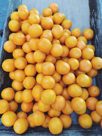 Fresh oranges and grapes displayed in a rustic wooden crate under natural sunlight.