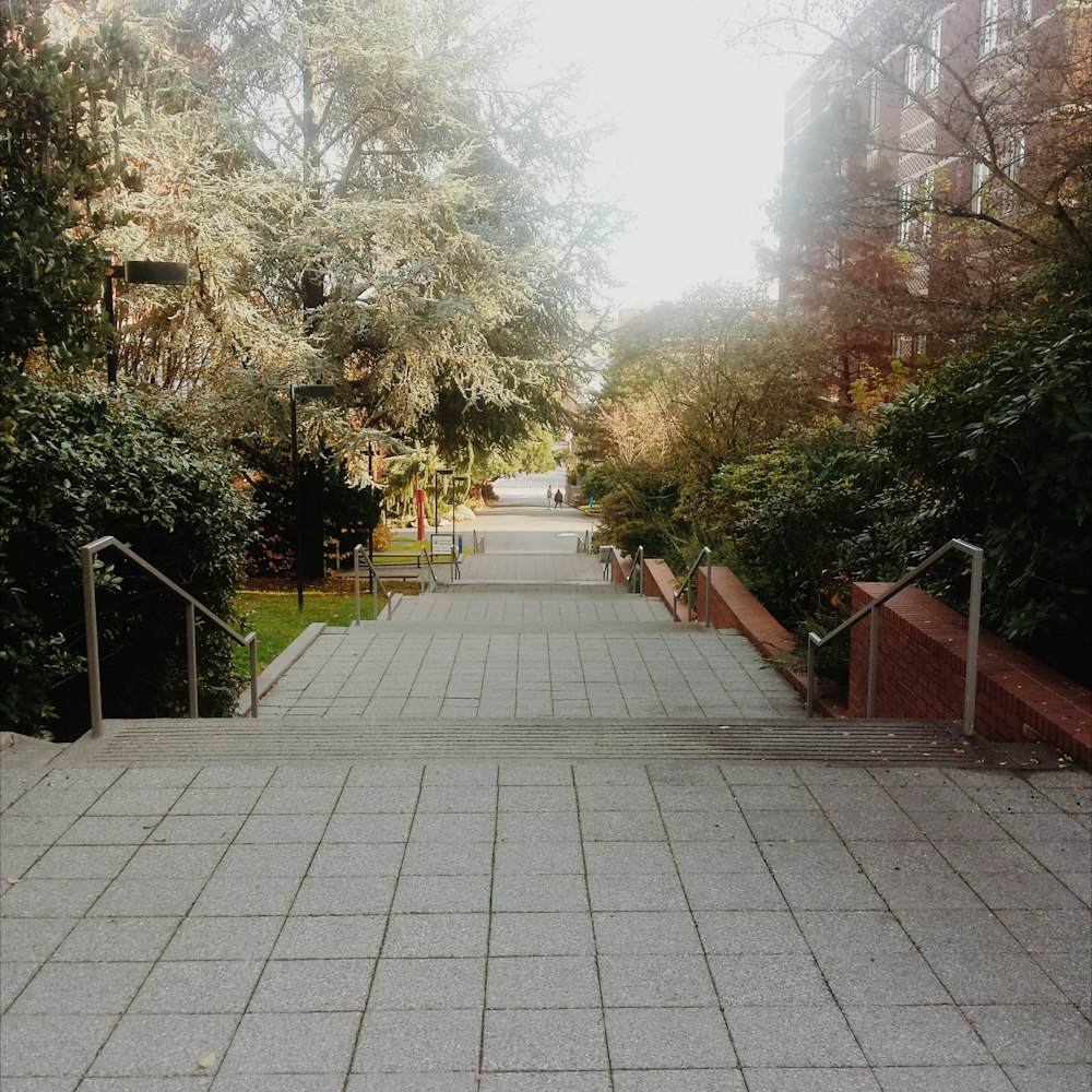 gray concrete pathway between green trees during daytime