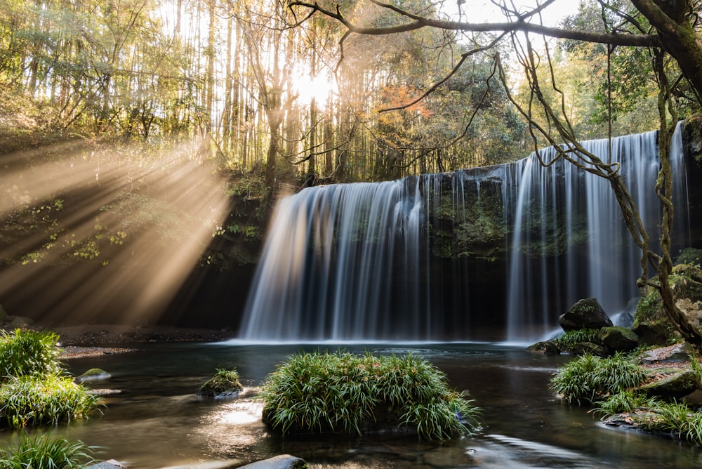 water falls in forest during daytime