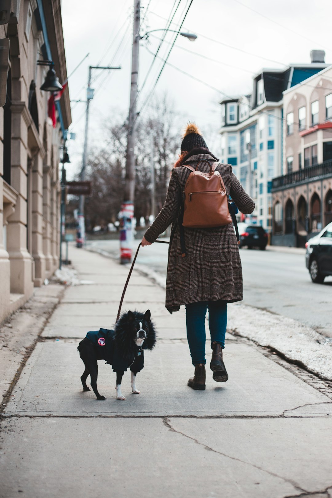 woman in brown coat and blue skirt walking with black dog on sidewalk during daytime