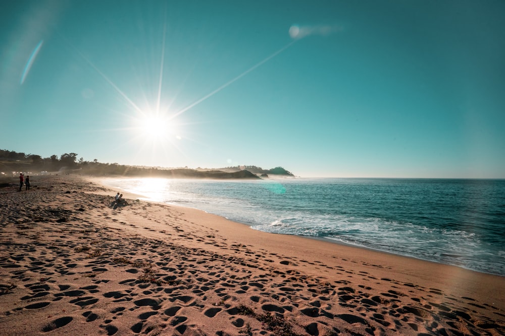 brown sand beach during daytime