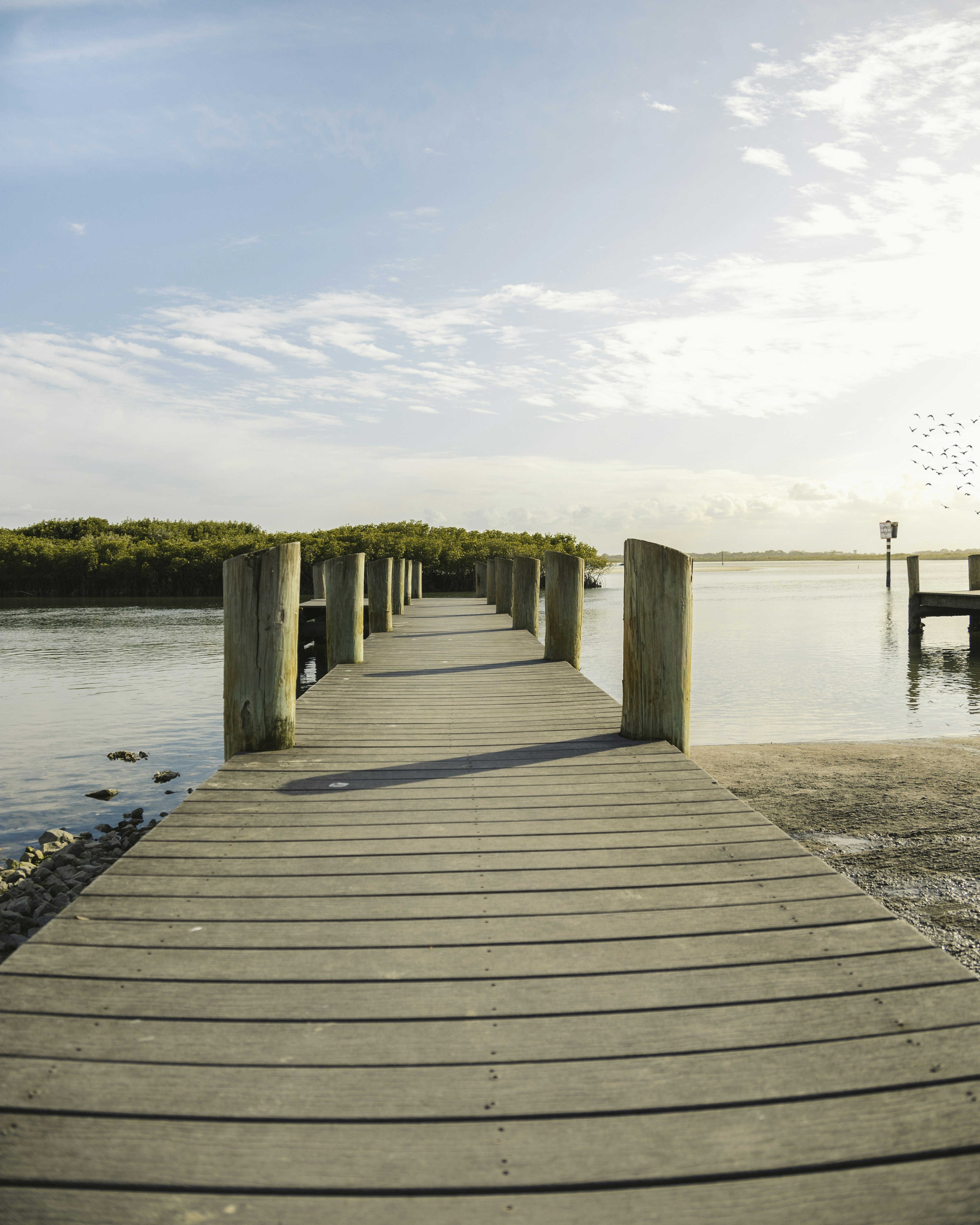 Photo by jphotomedia