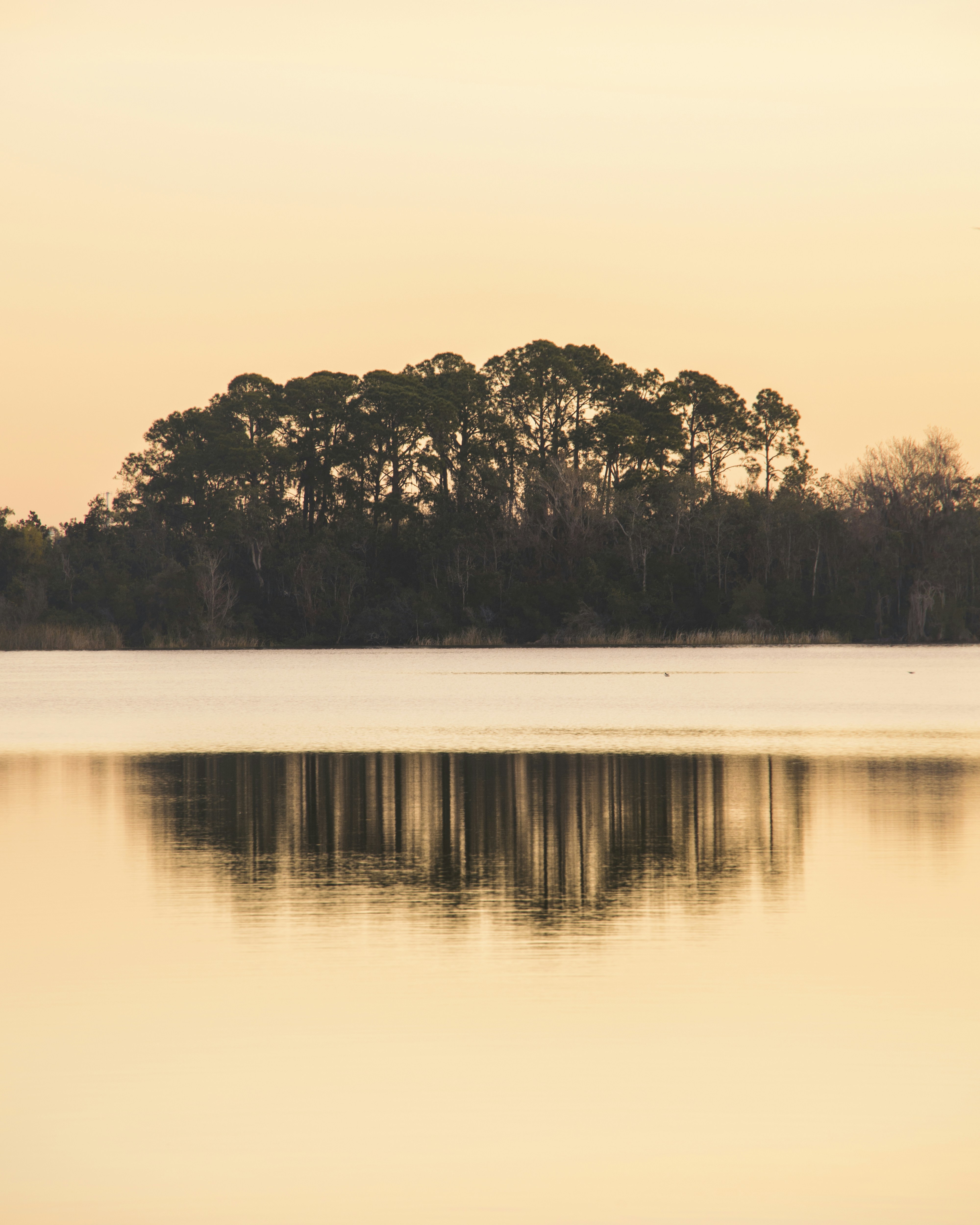 Photo by jphotomedia