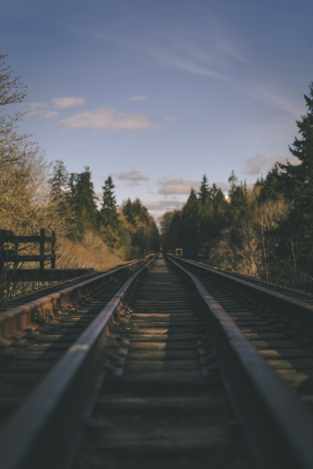 train rail near green trees under white clouds and blue sky during daytime