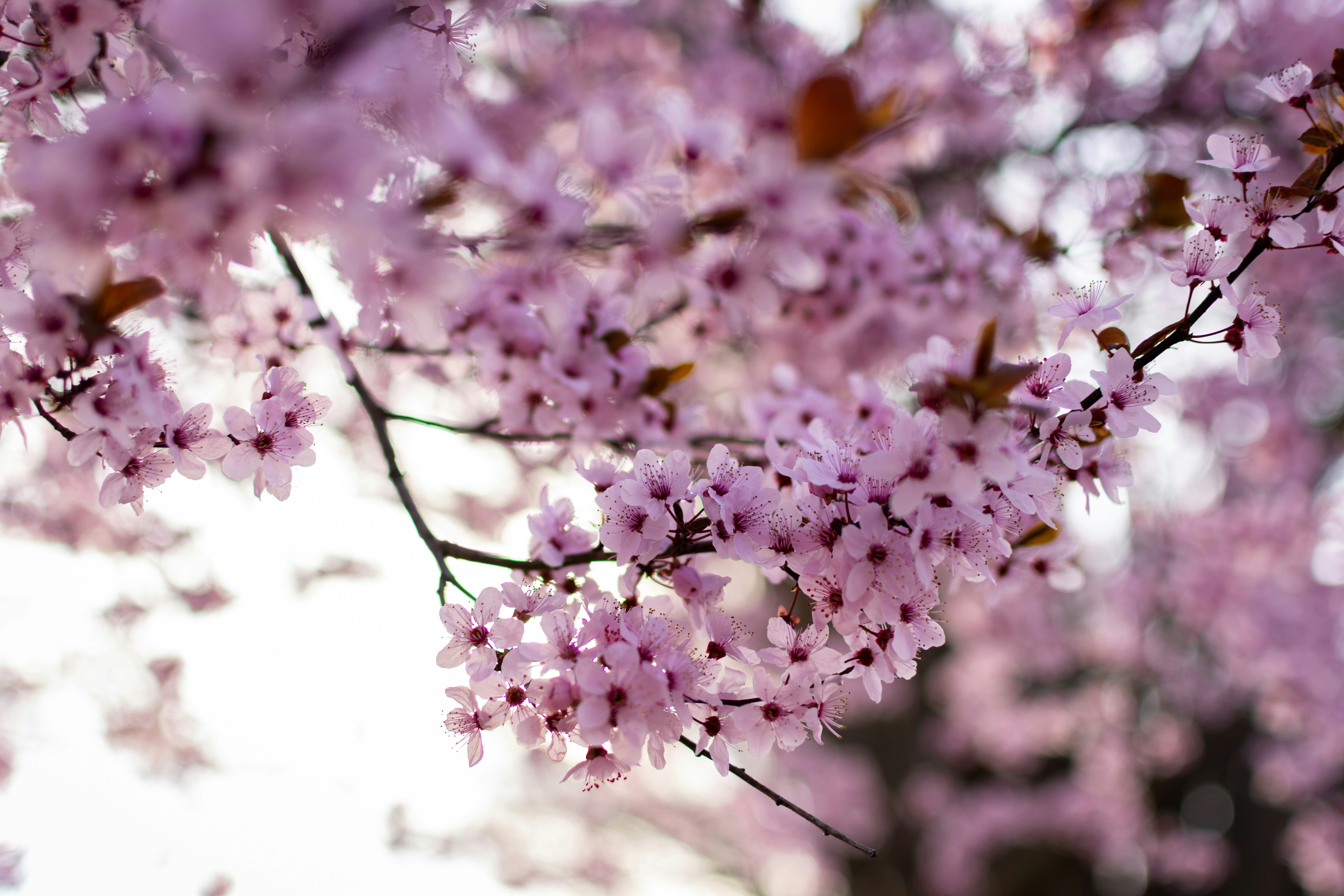 How the Vikings Went from Pagan Raiders to Pop Culture Heroes