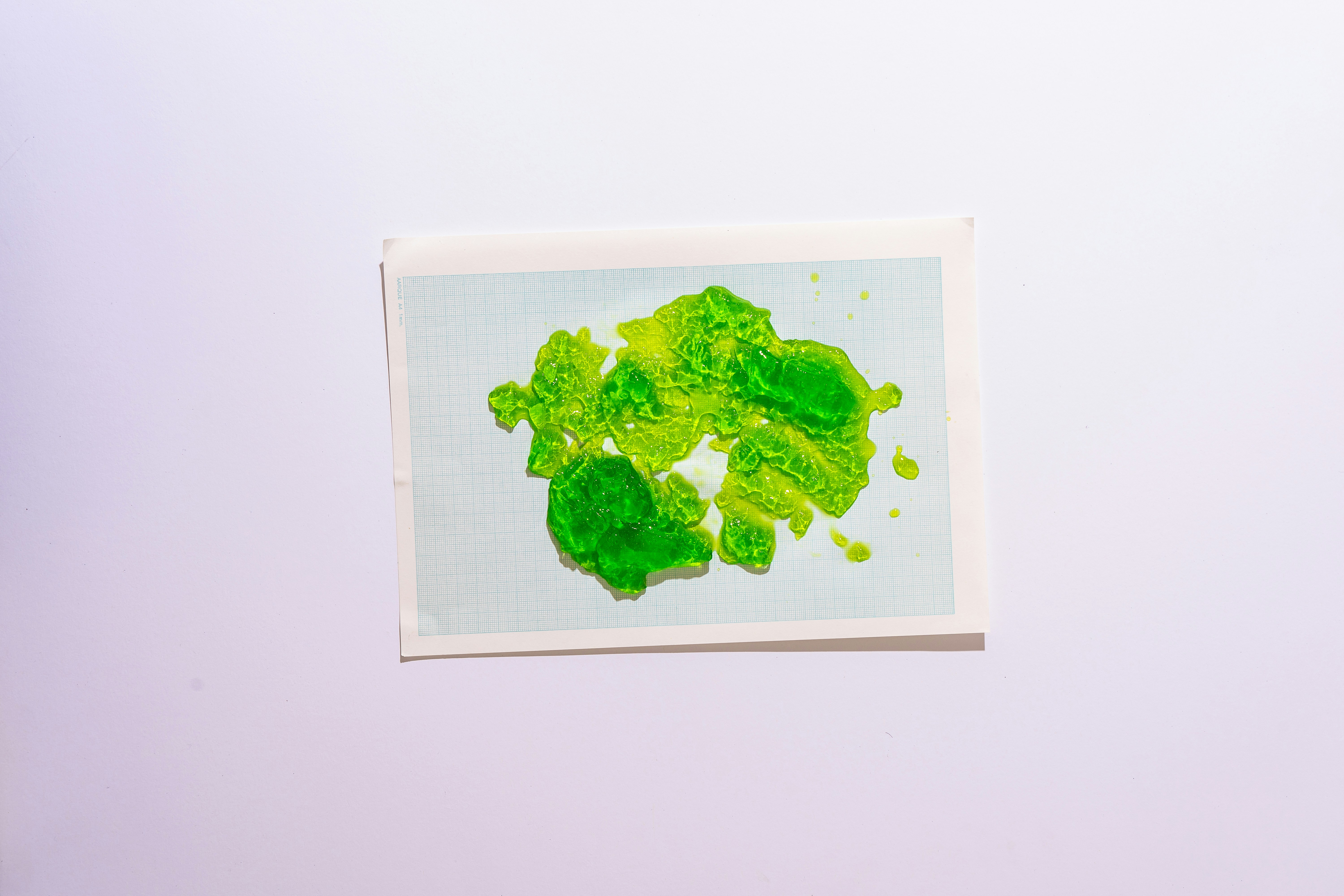 feuille verte sur papier blanc