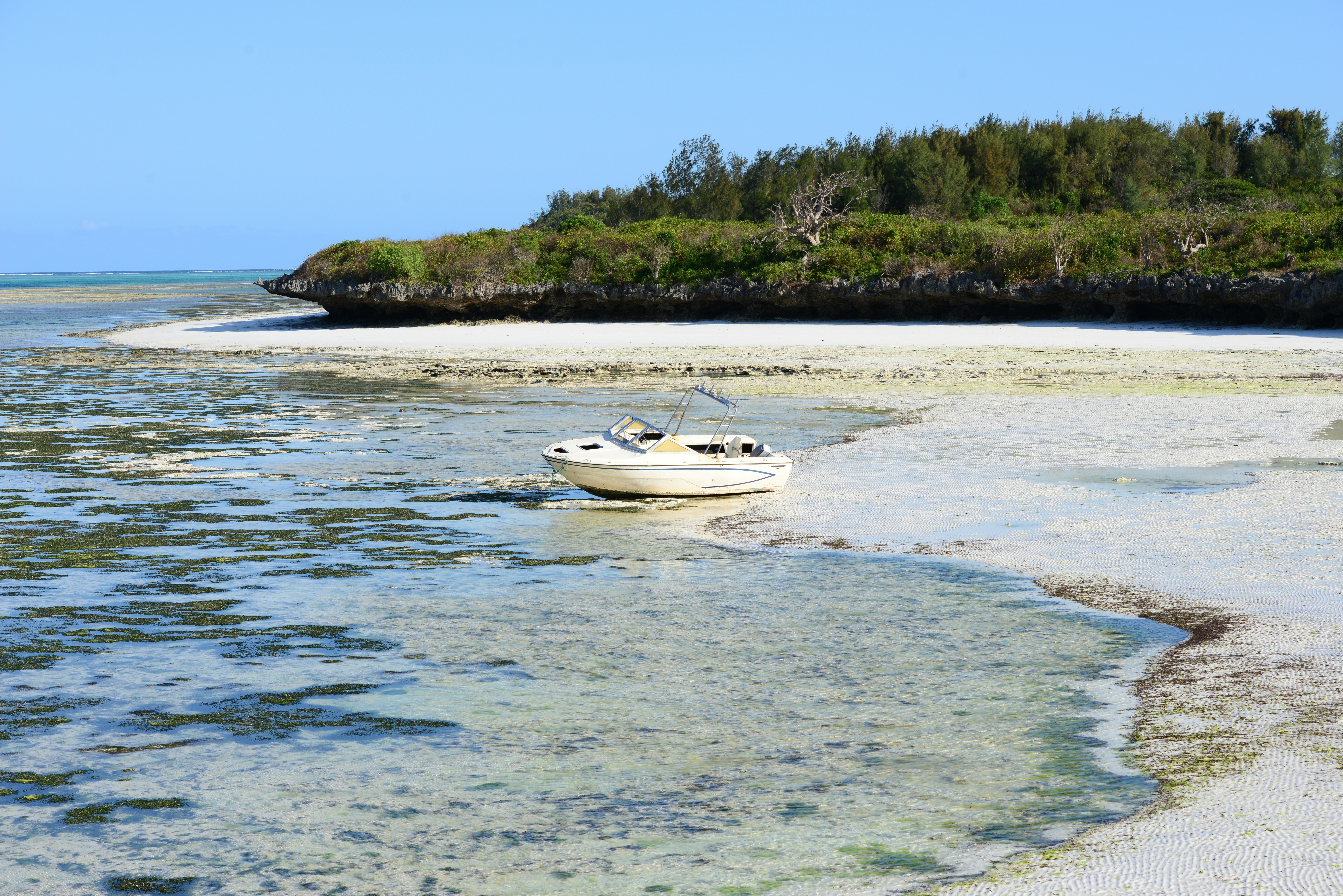 weißes und blaues Boot tagsüber auf See