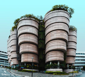 brown wooden barrels on gray asphalt road during daytime