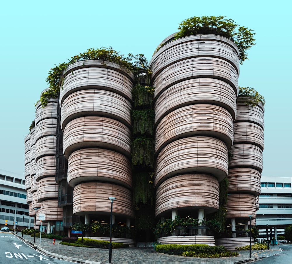 brown wooden barrels on gray asphalt road during daytime