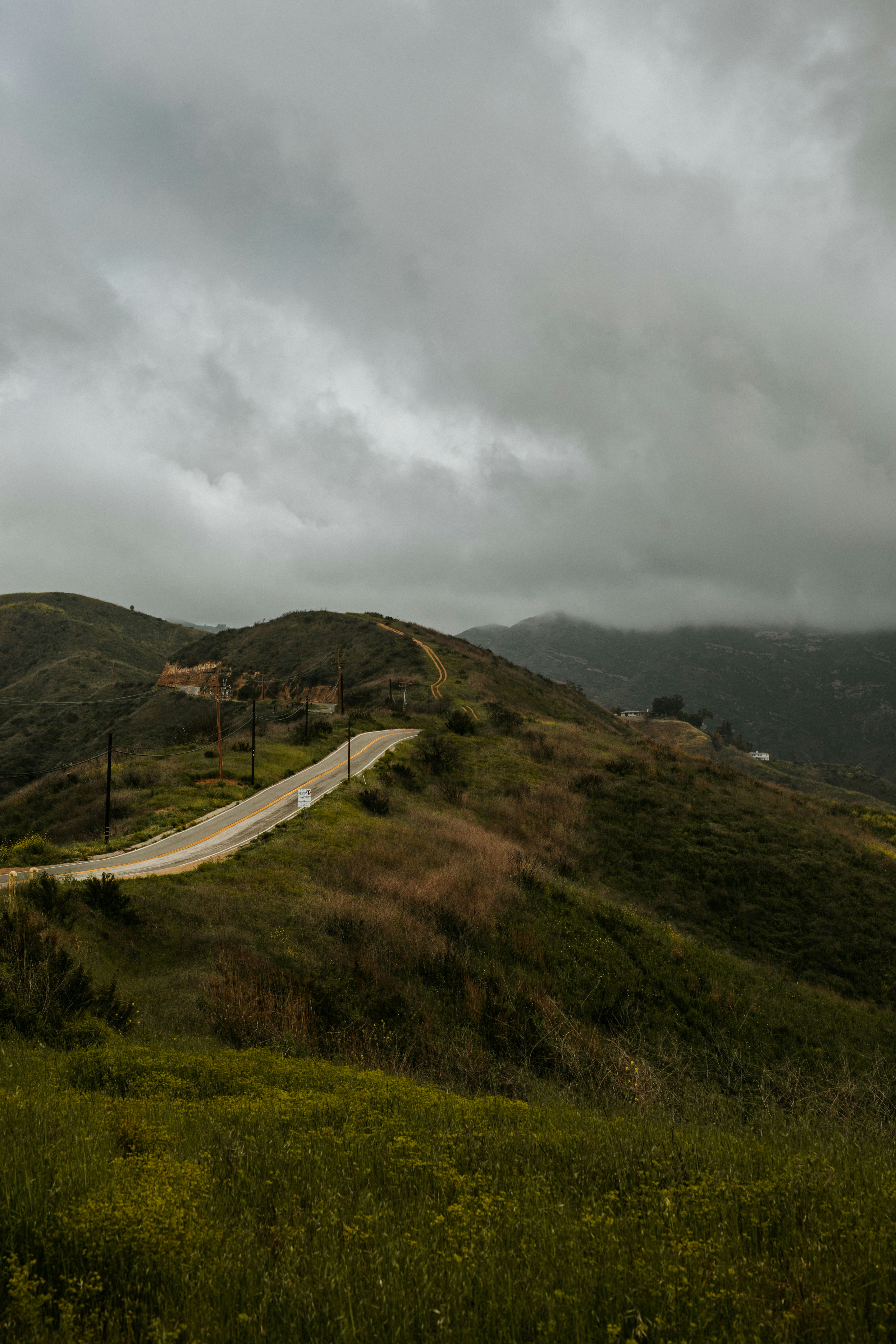 Photo by nate_dumlao