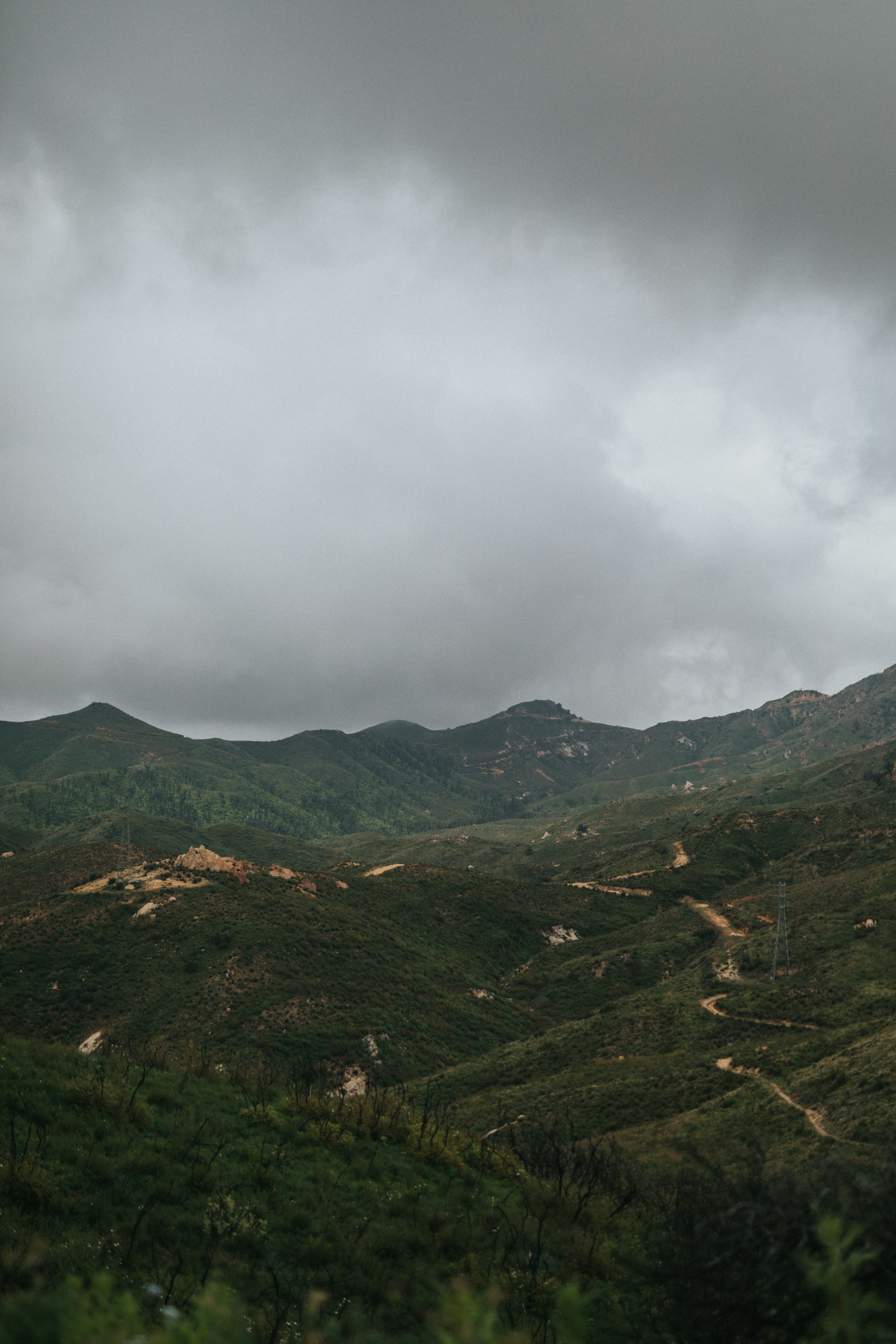 Photo by nate_dumlao