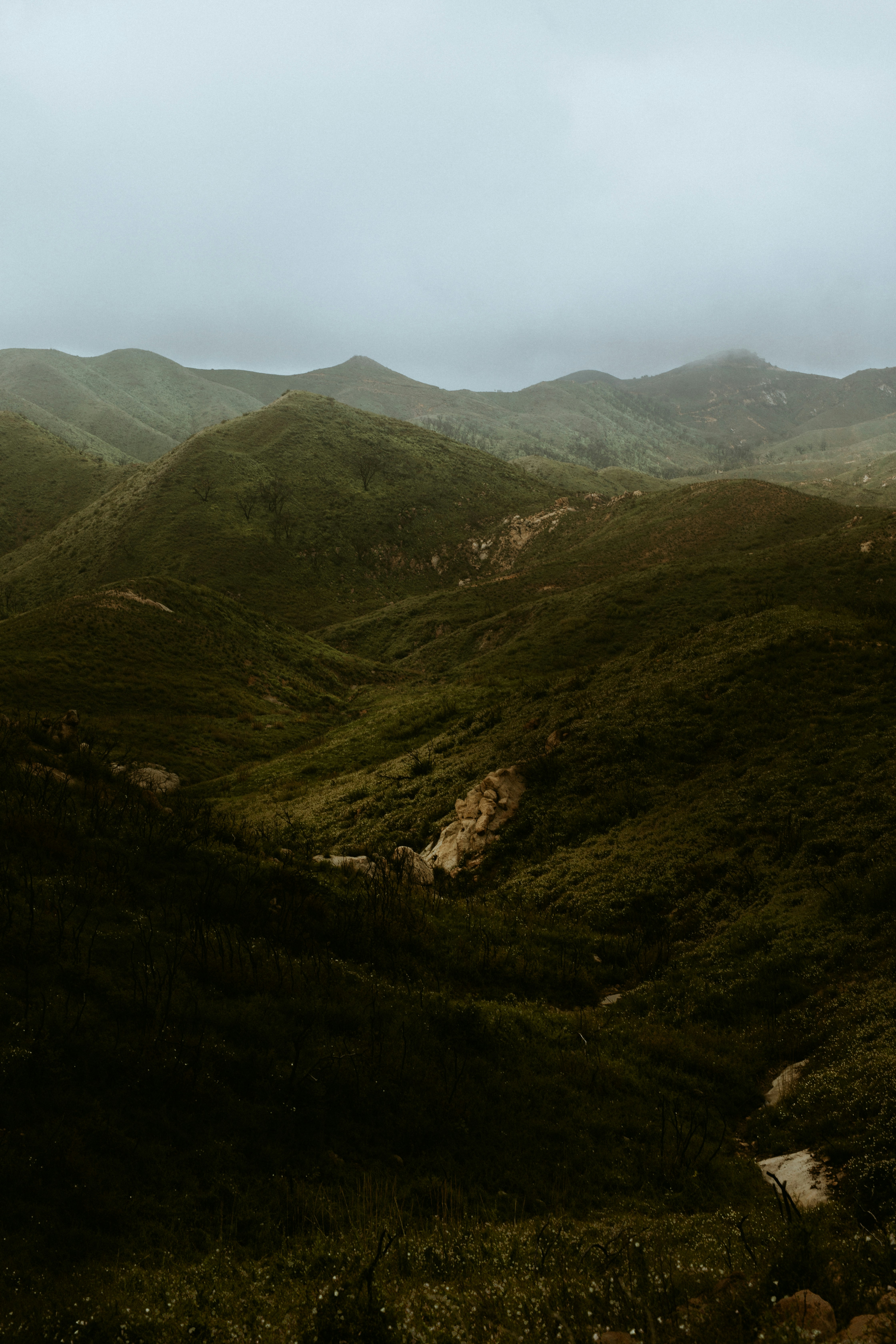 Photo by nate_dumlao