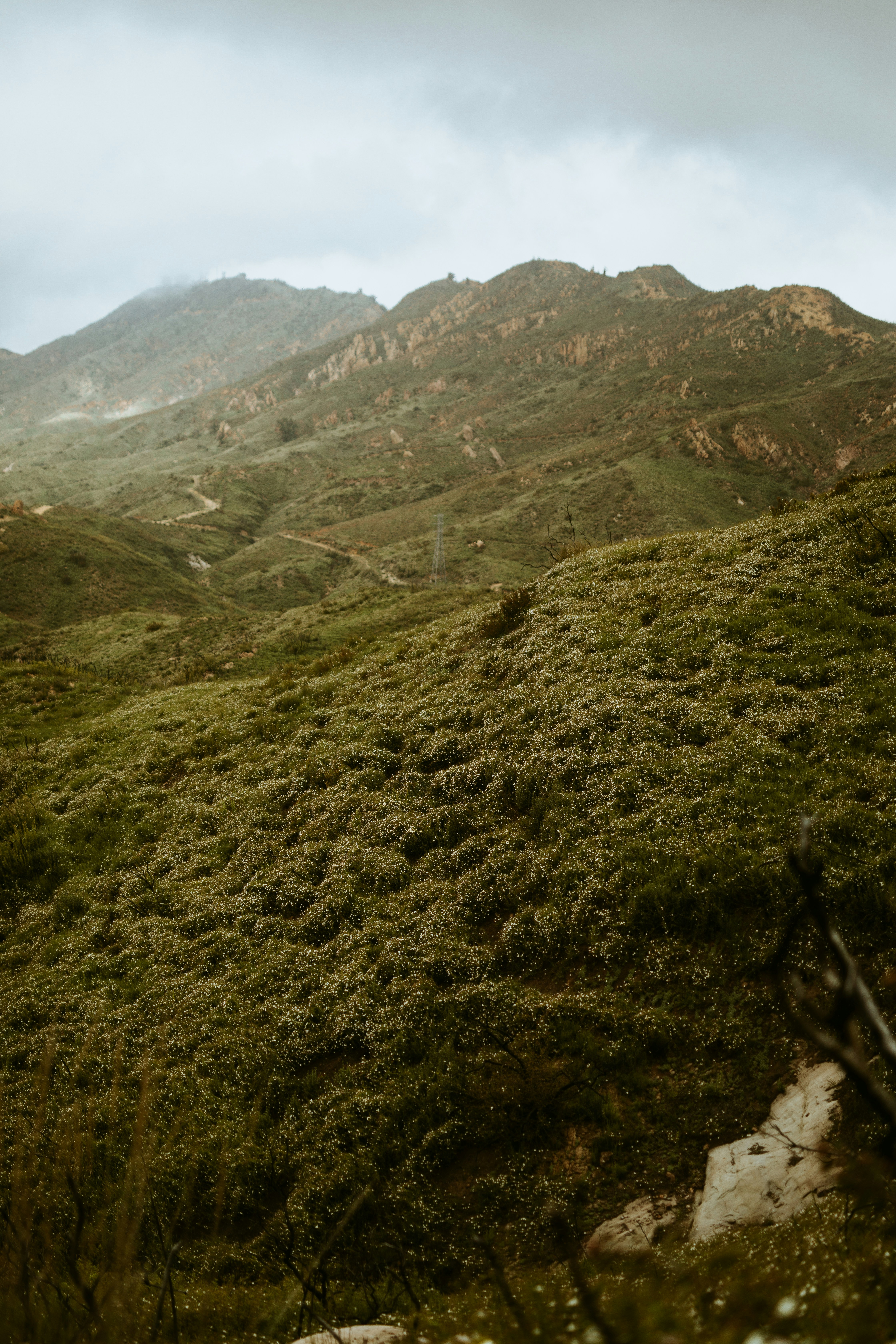 Photo by nate_dumlao