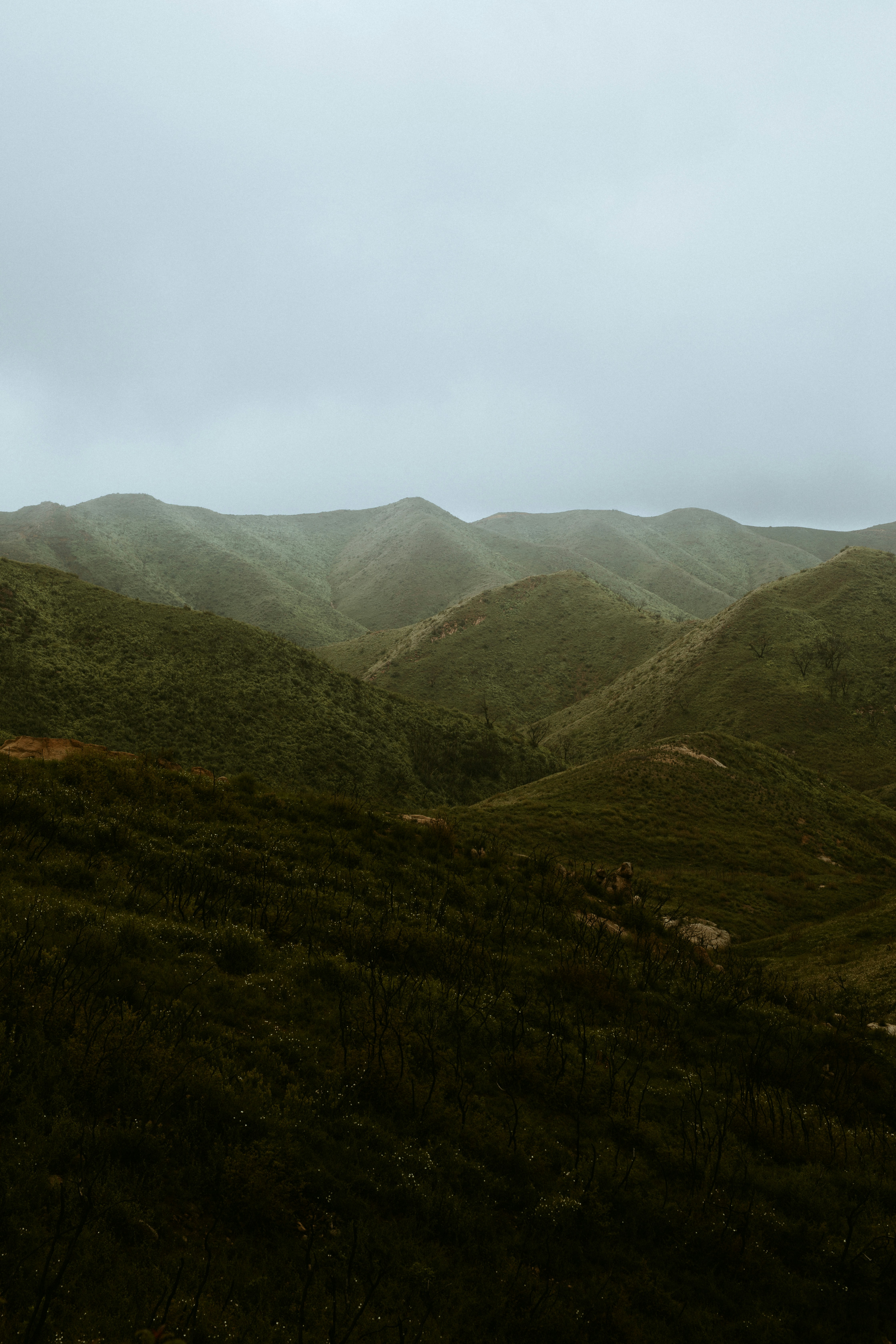 Photo by nate_dumlao