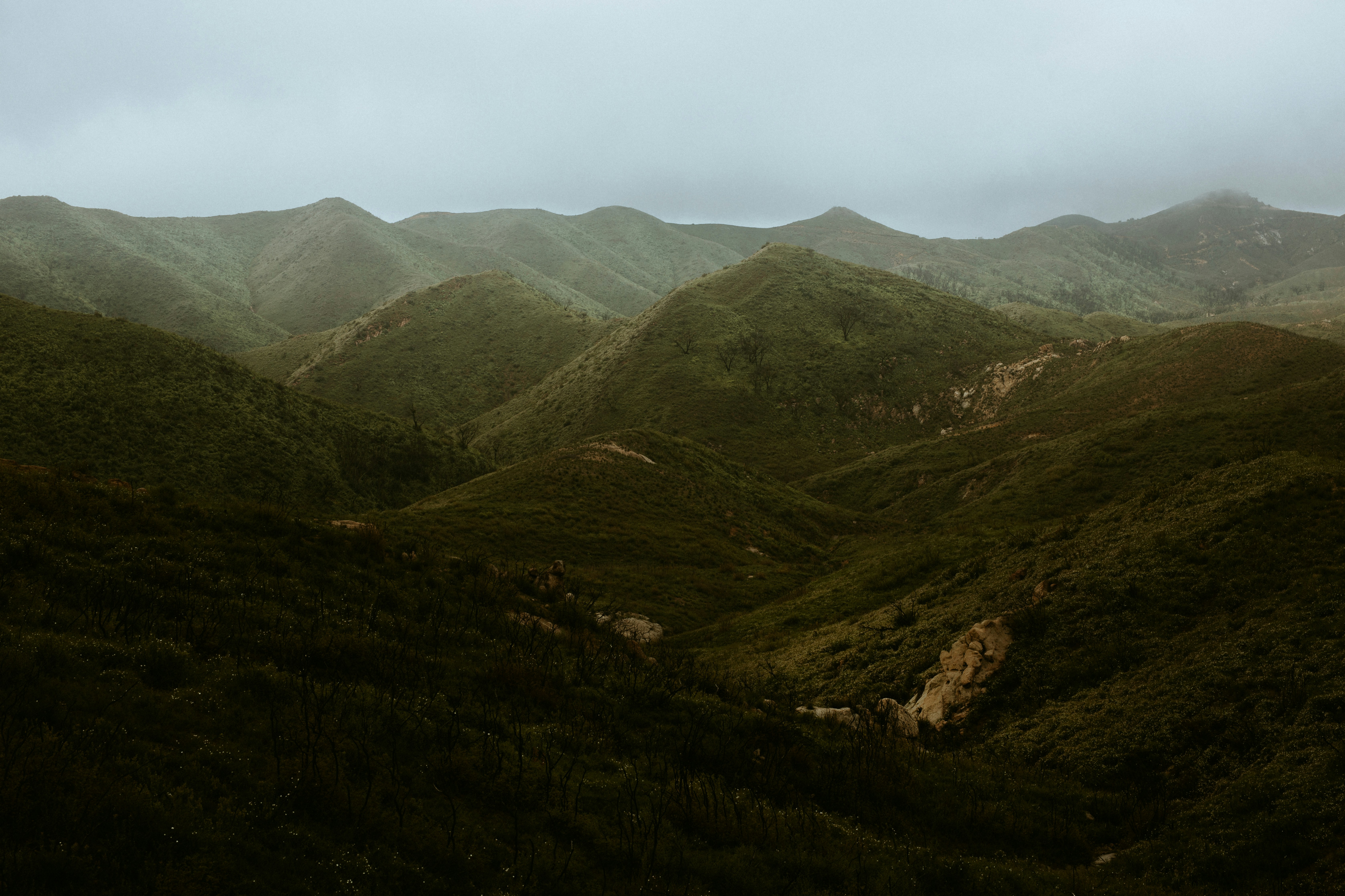 Photo by nate_dumlao