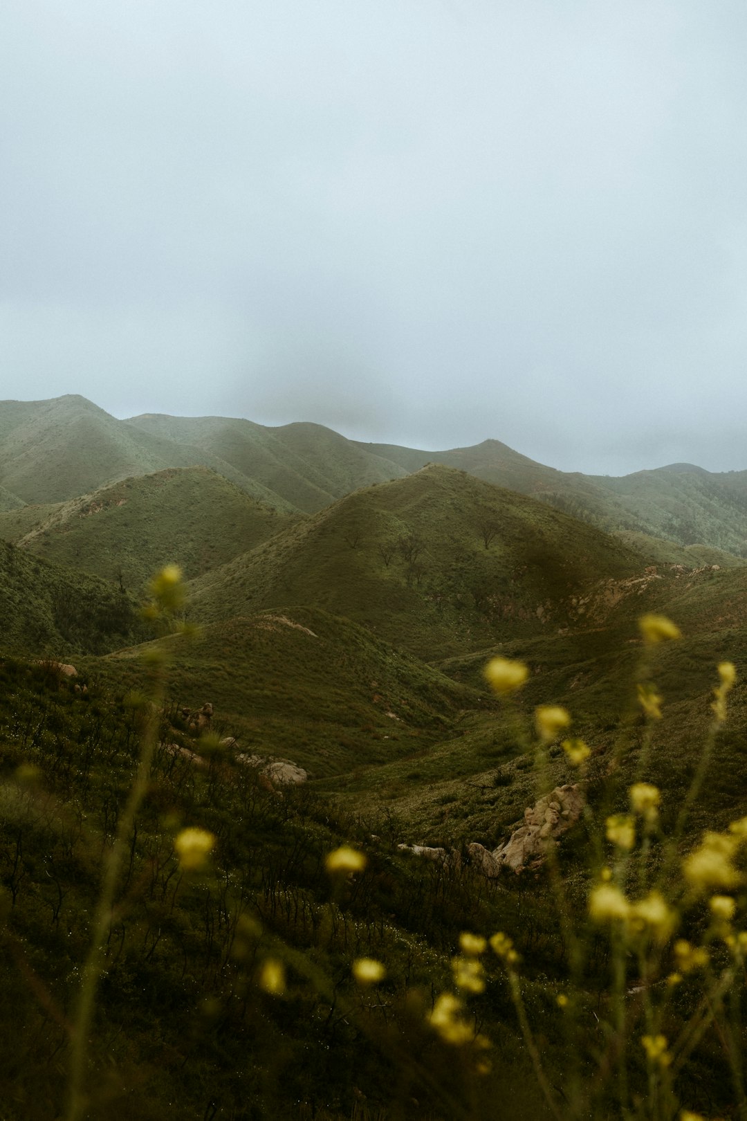 green and brown mountains under white sky during daytime