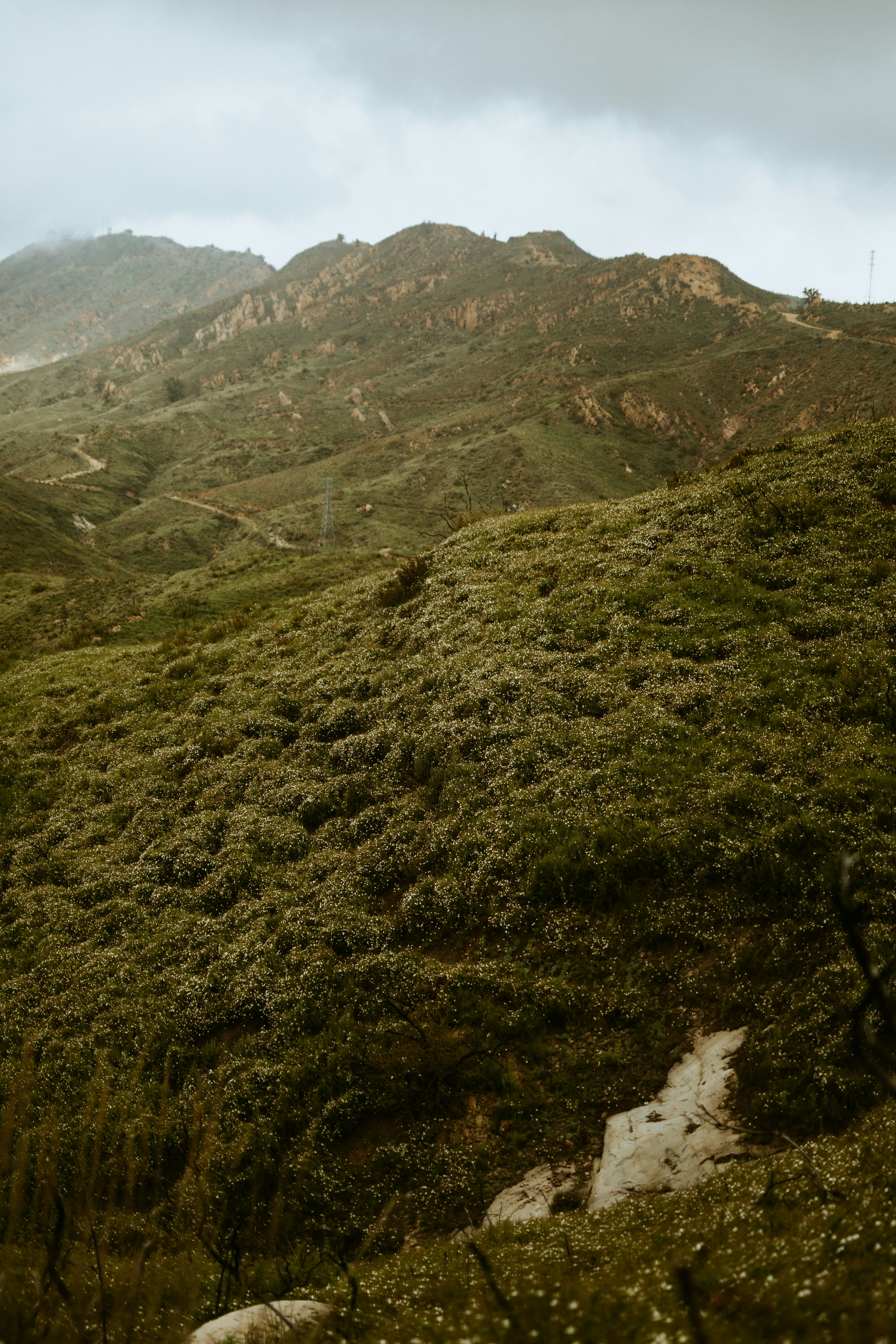 Photo by nate_dumlao