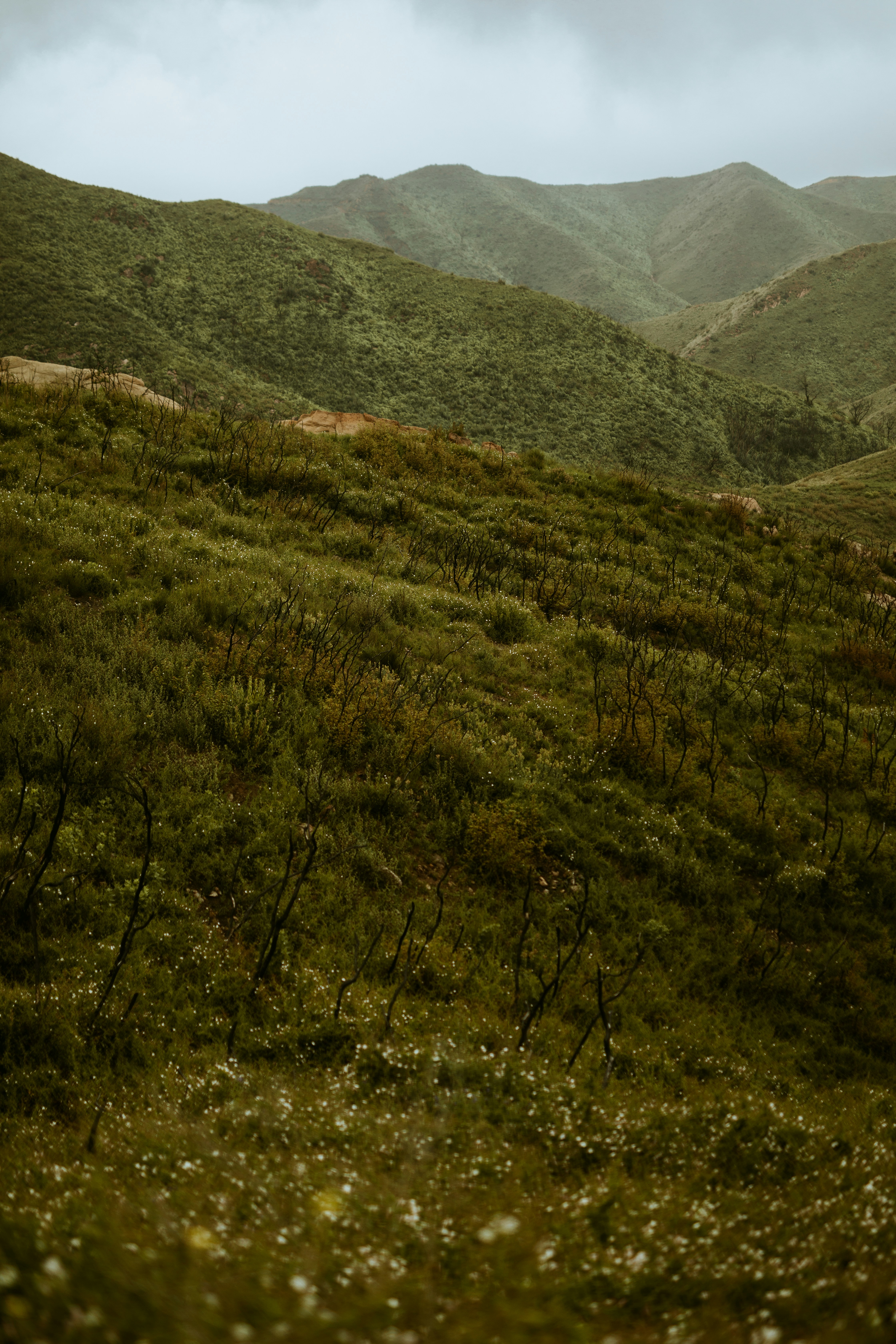 Photo by nate_dumlao