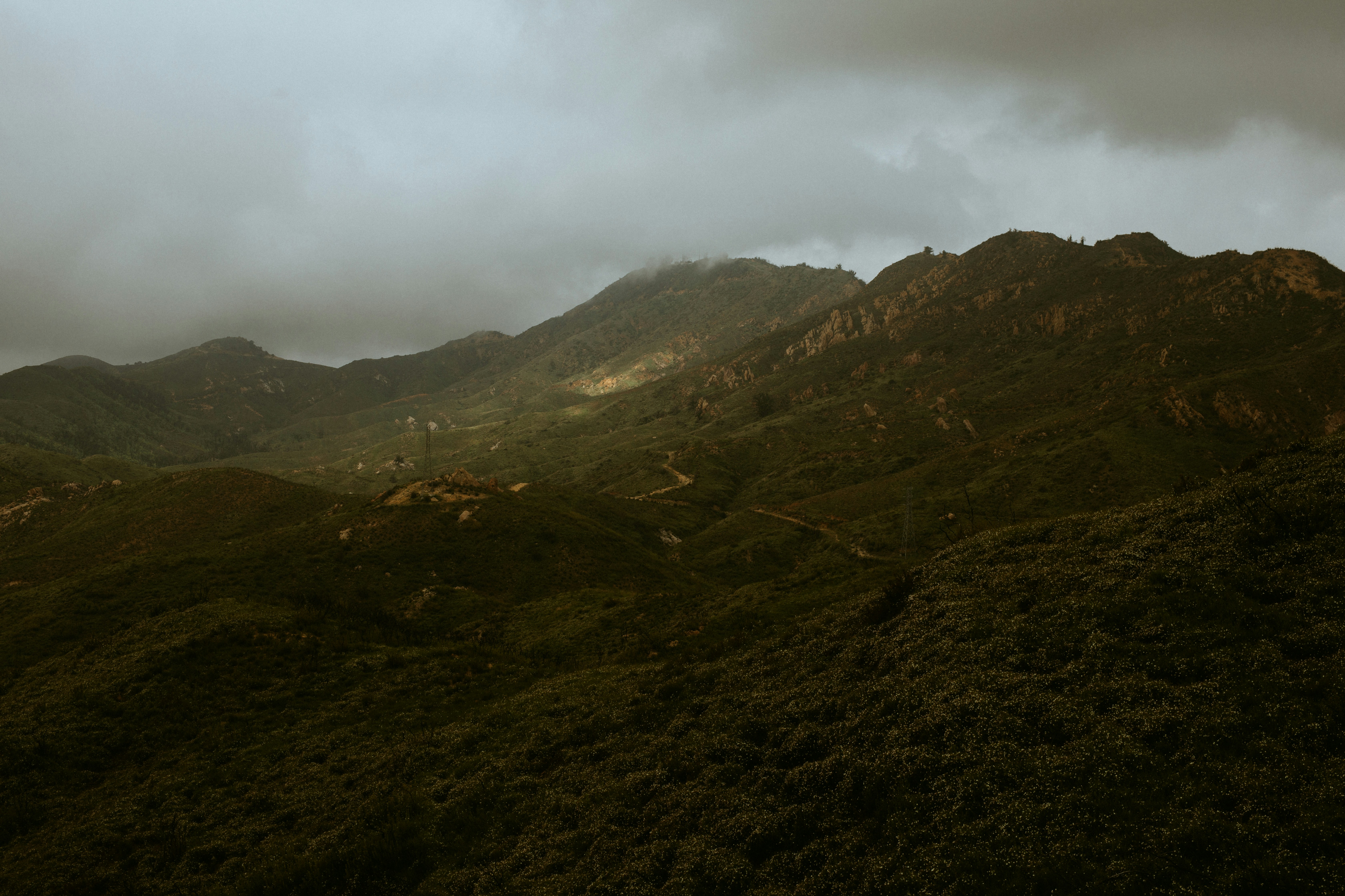 Photo by nate_dumlao