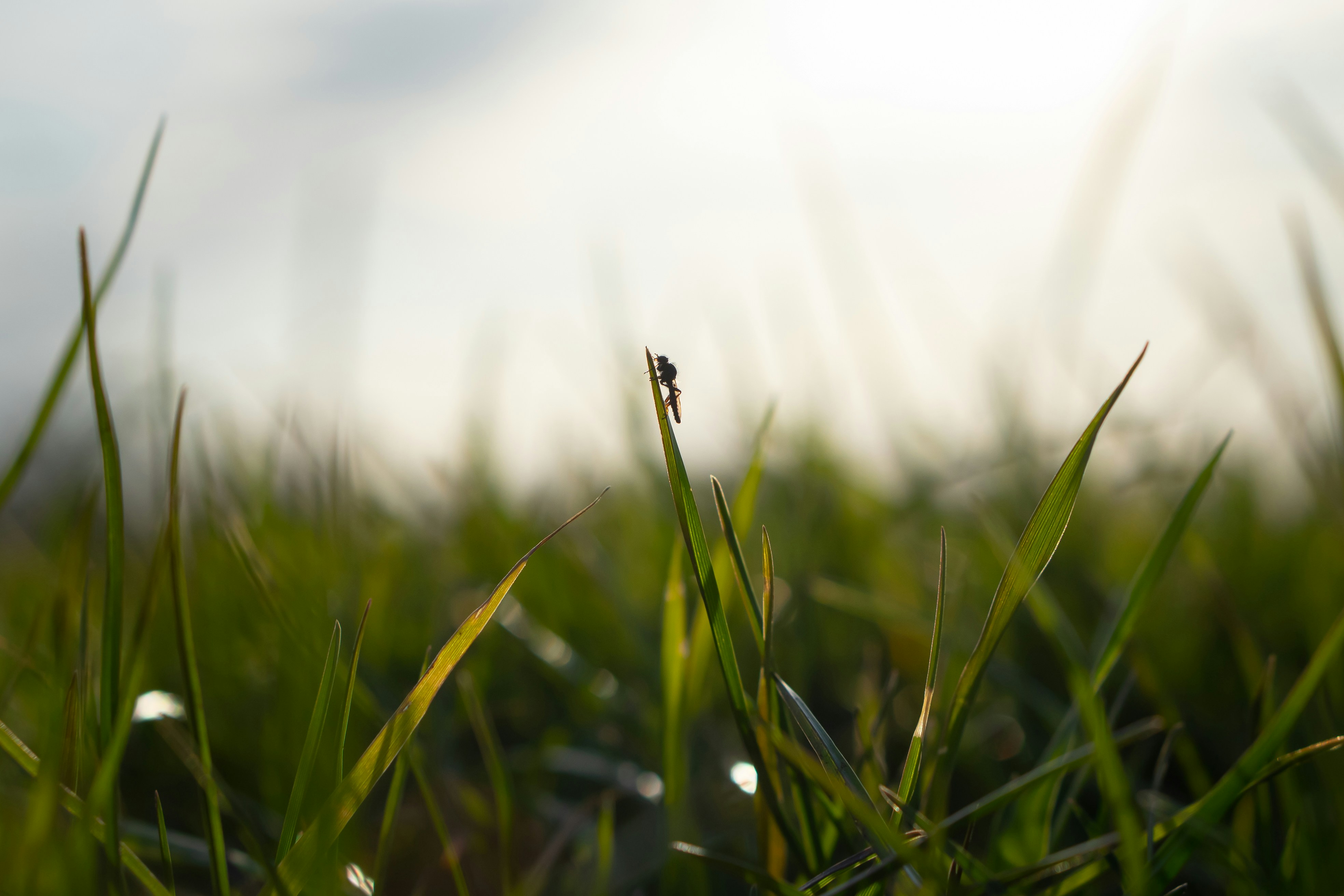 Photo by moinundmeer