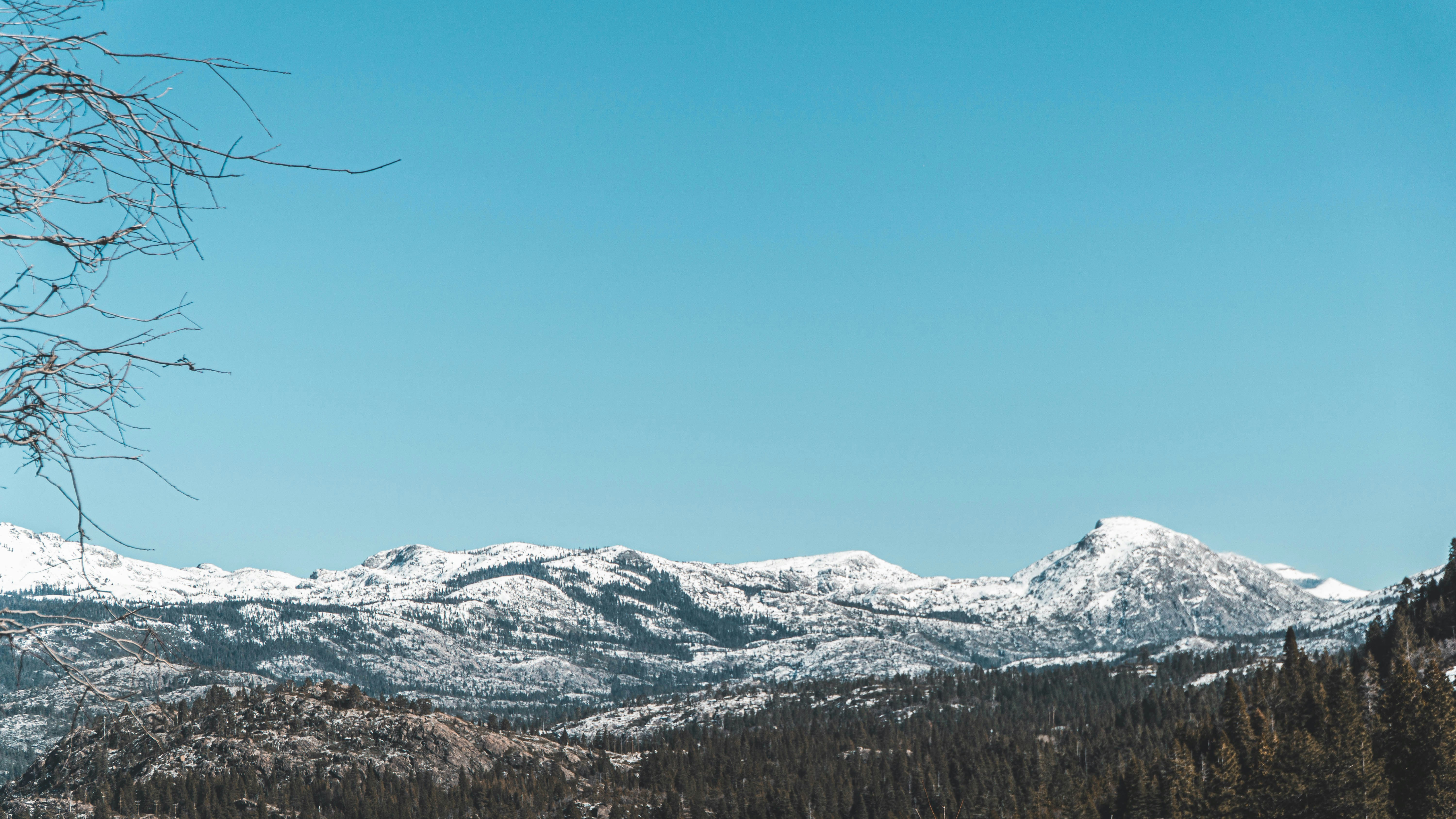 Snow-dusted mountain ridge spans the frame beneath a clear blue sky, with dark forested slopes and bare foreground branches.
