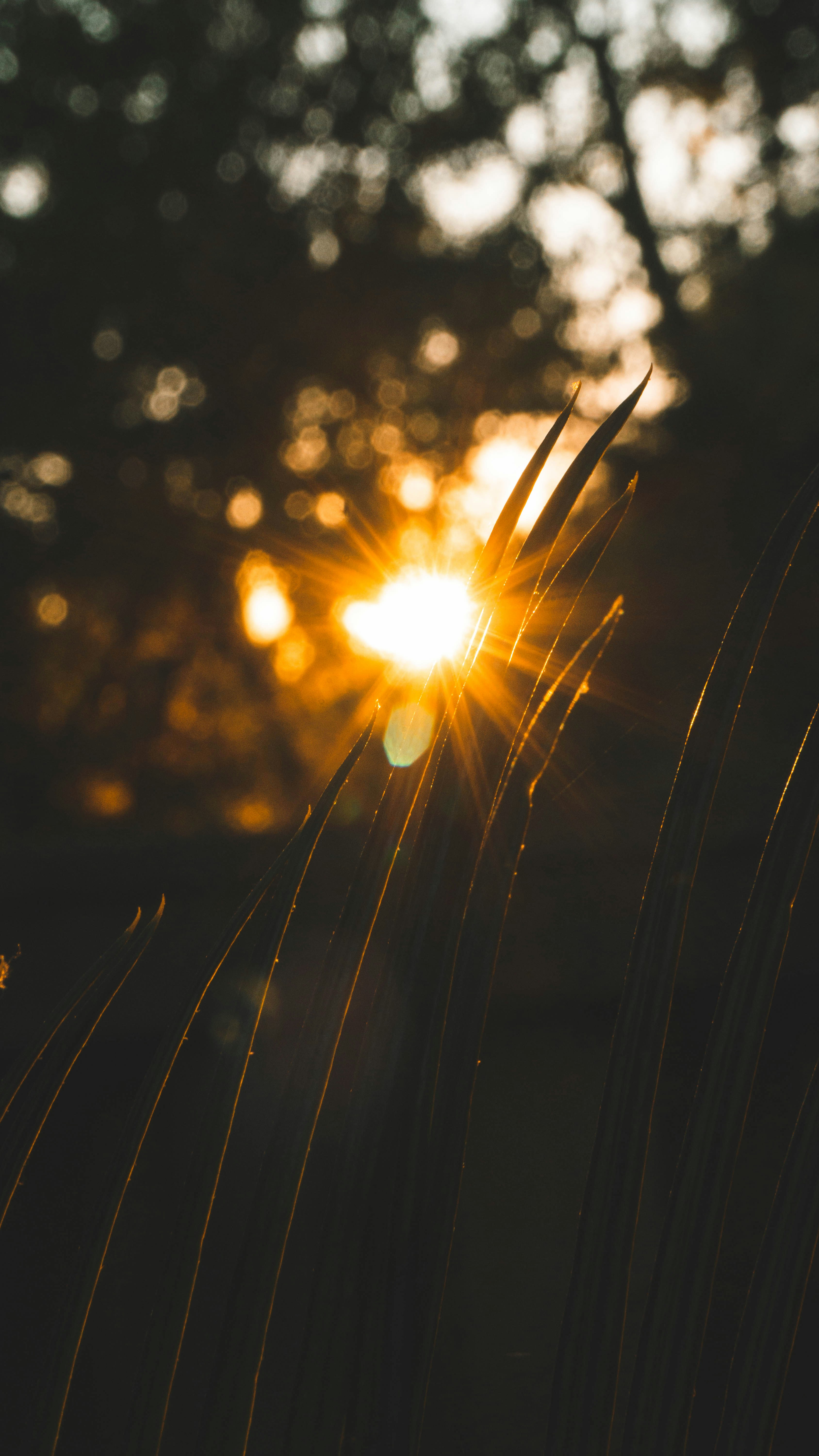 Photo by iananderson