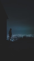 A shadowy figure standing atop a hill at dawn, overlooking a cityscape symbolizing control and future.