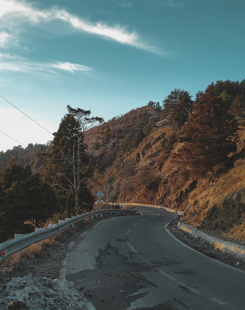 gray concrete road between brown trees under blue sky during daytime