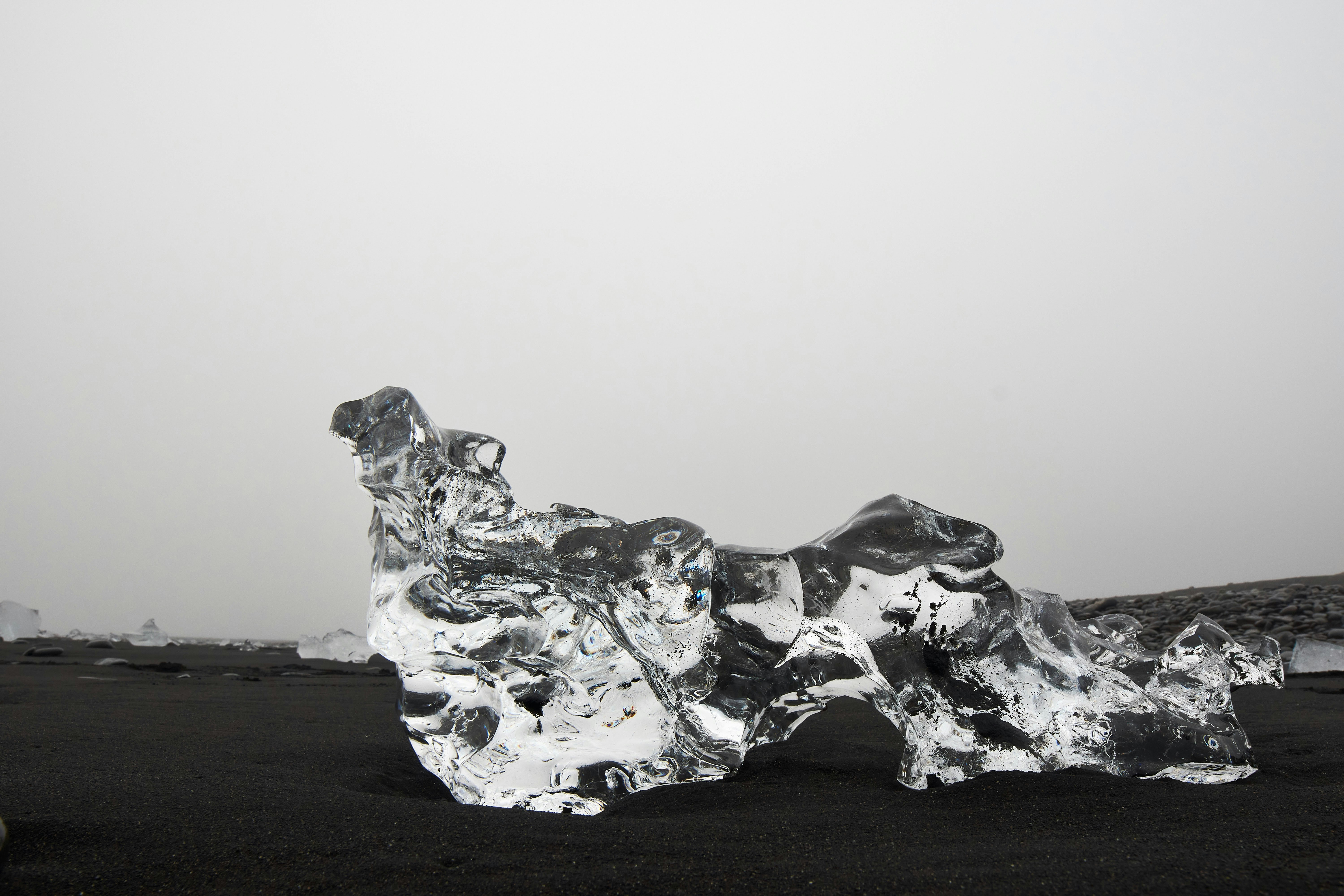 Photo by wolfgang_hasselmann