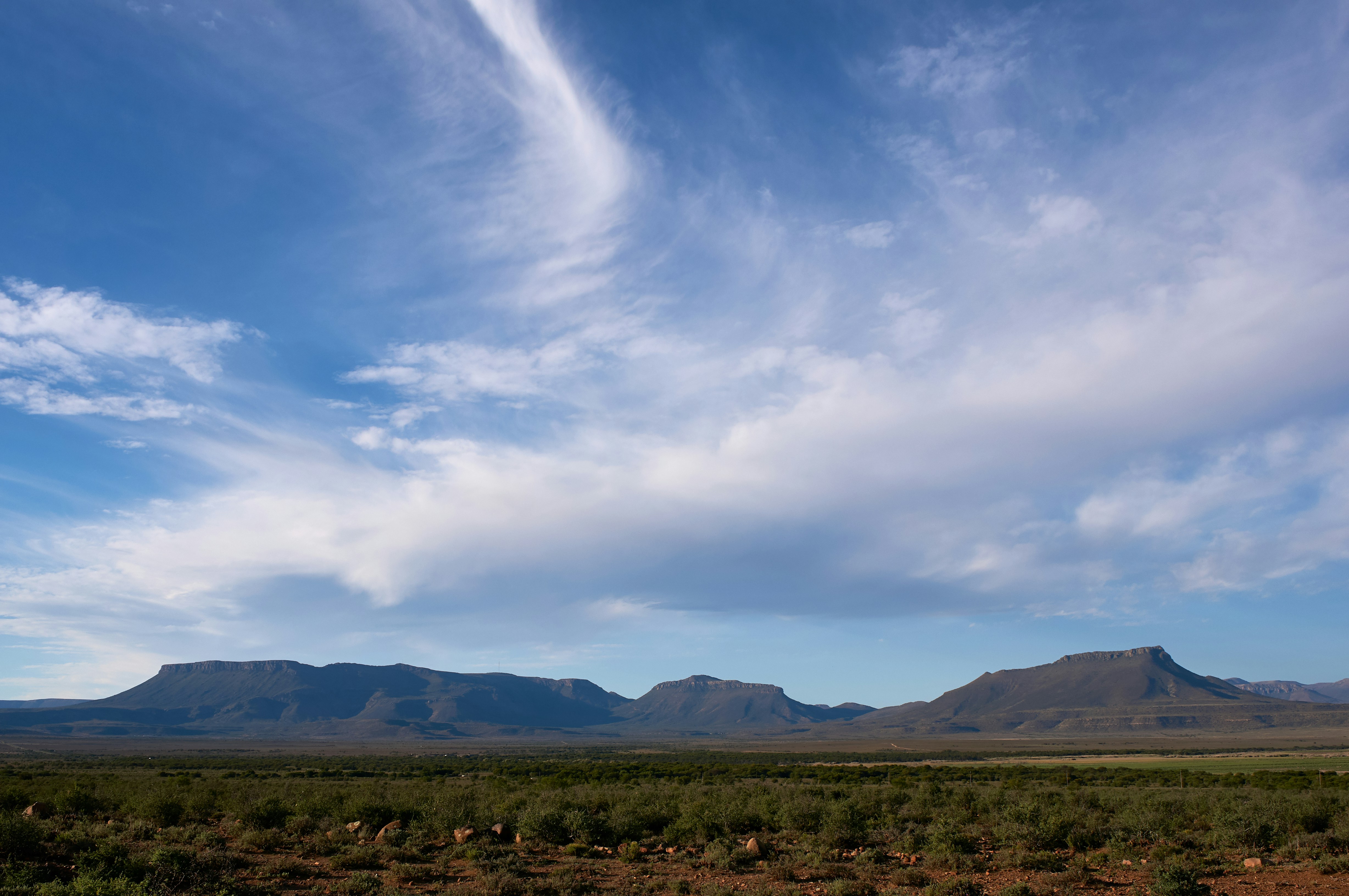 Photo by wolfgang_hasselmann