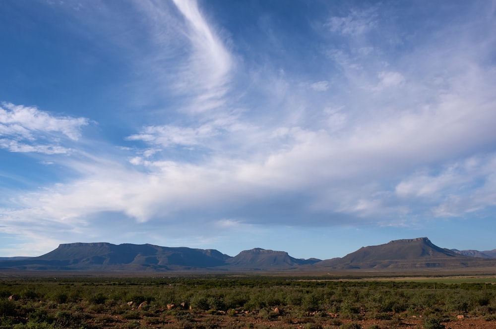 green grass field near mountains under blue sky during daytime