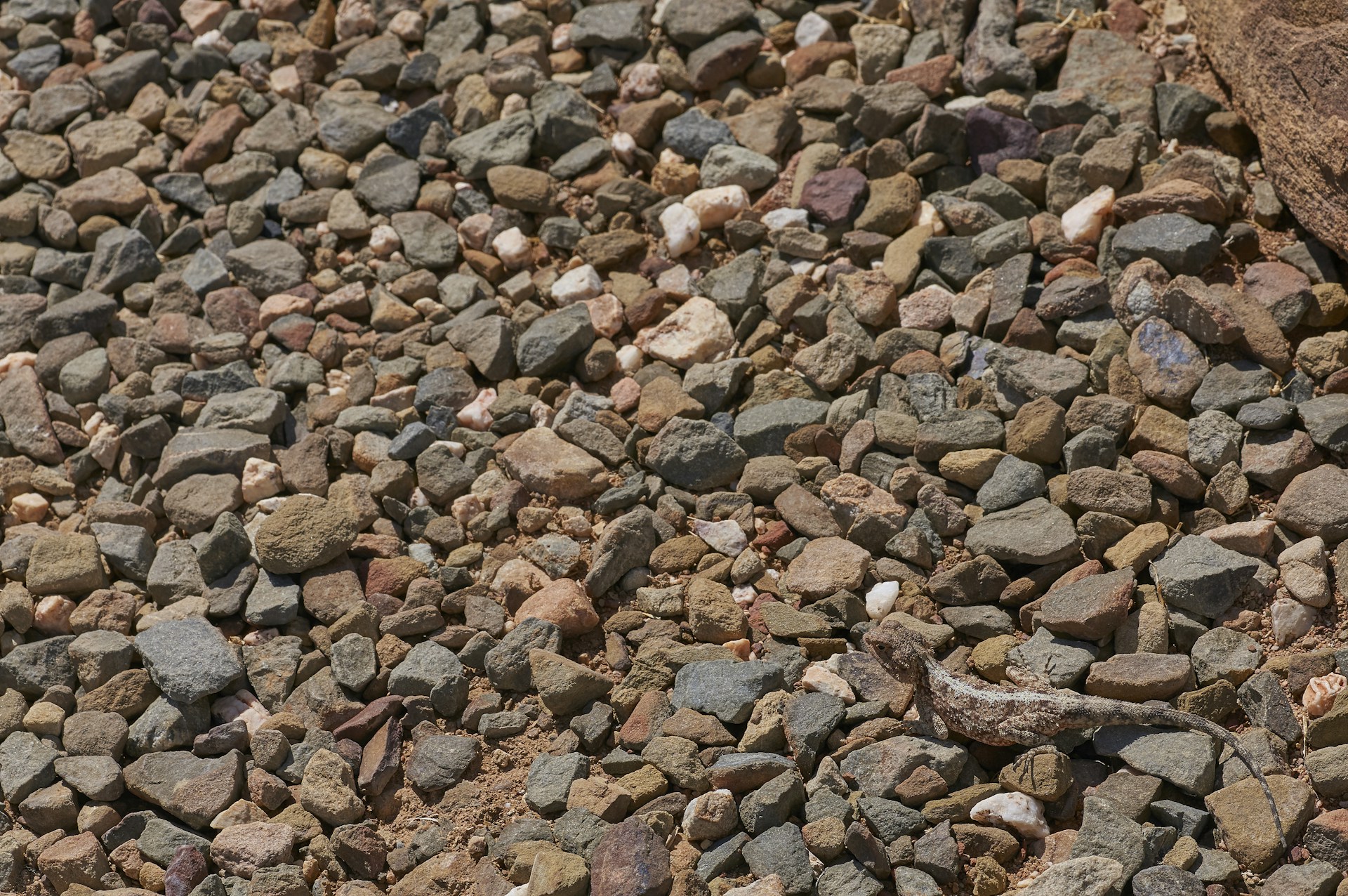 brown and gray stones on brown soil